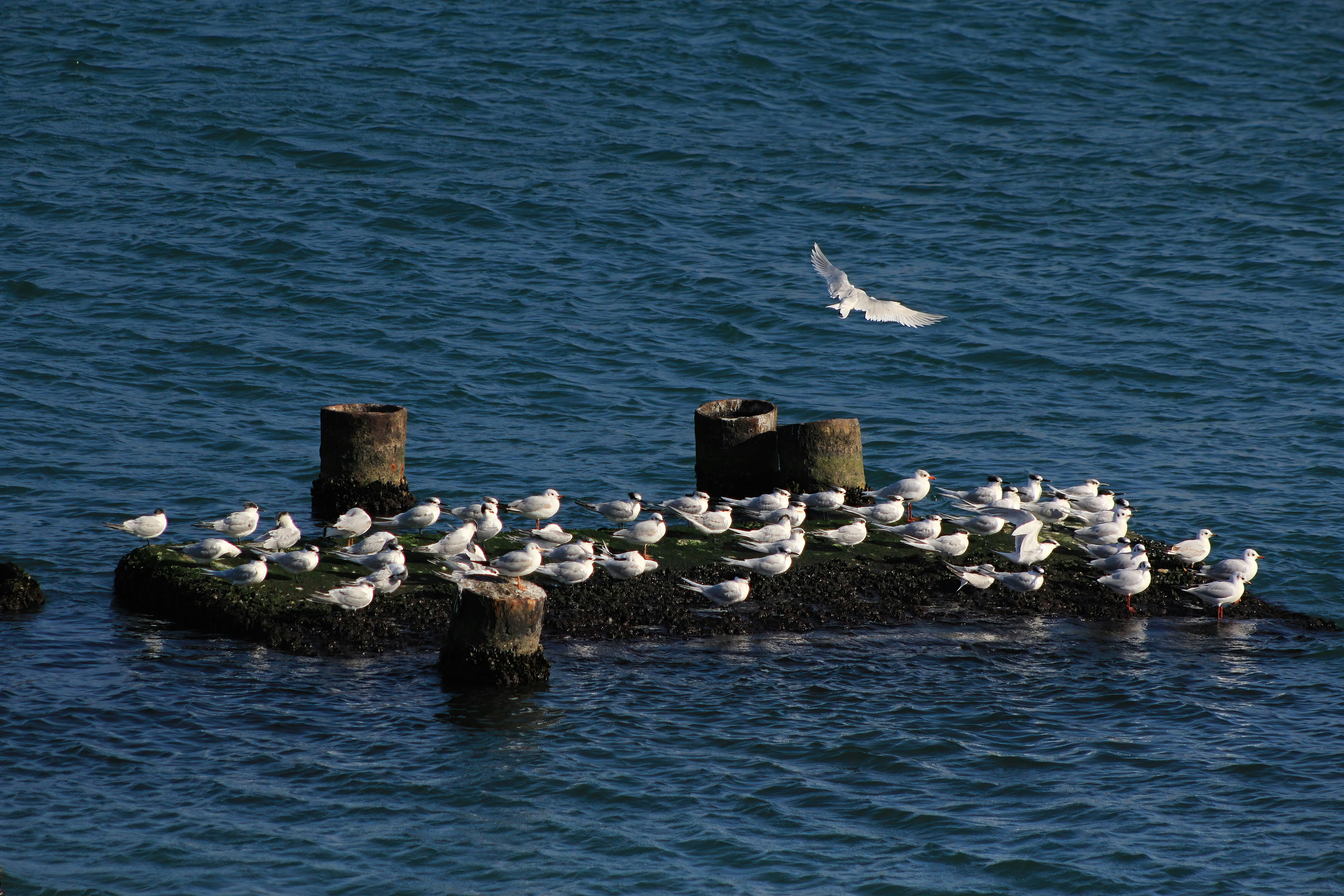 Photo by stepan_konev