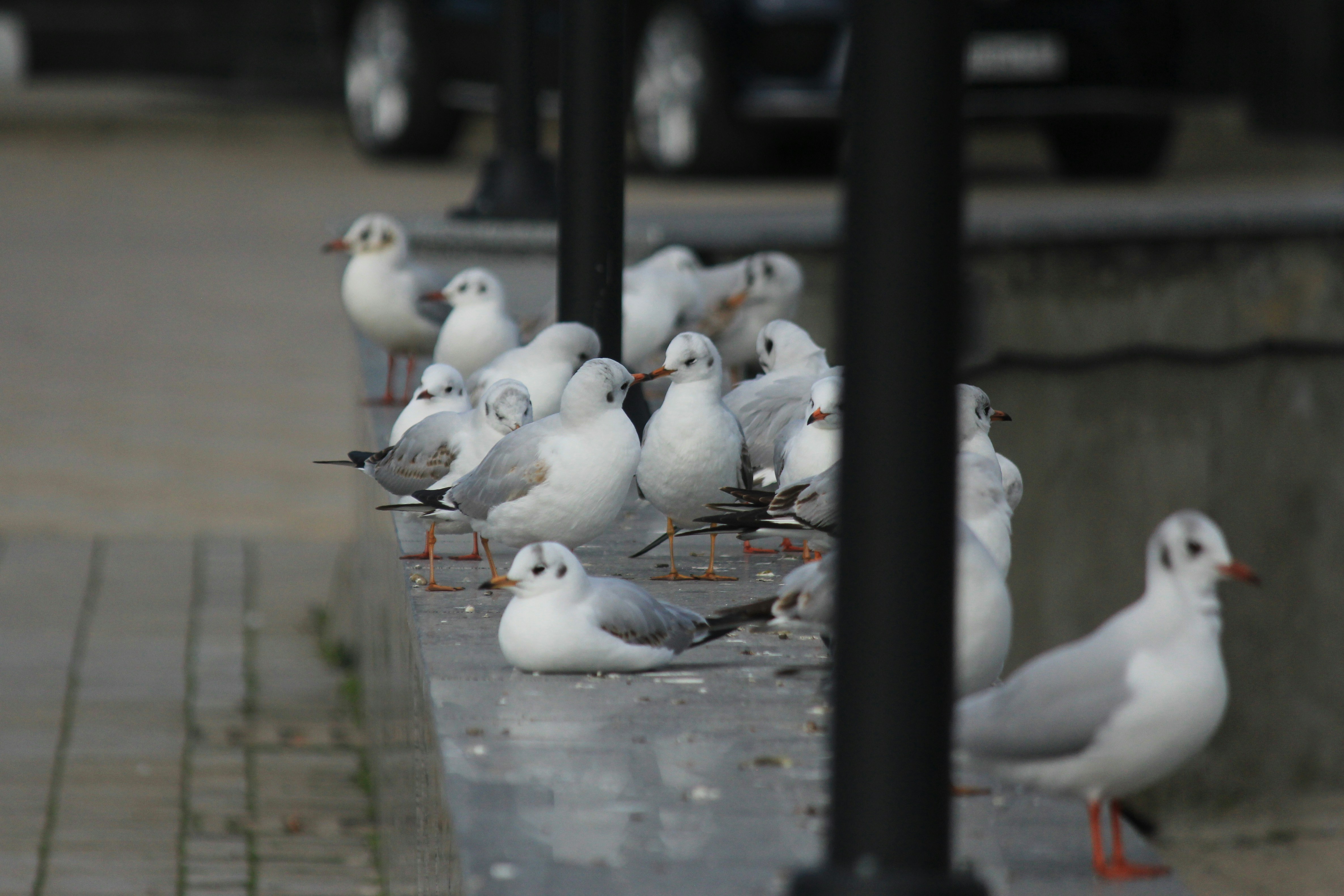 Photo by stepan_konev