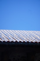 A bird is sitting on the roof of a building