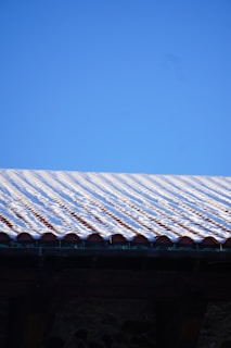 A bird is sitting on the roof of a building