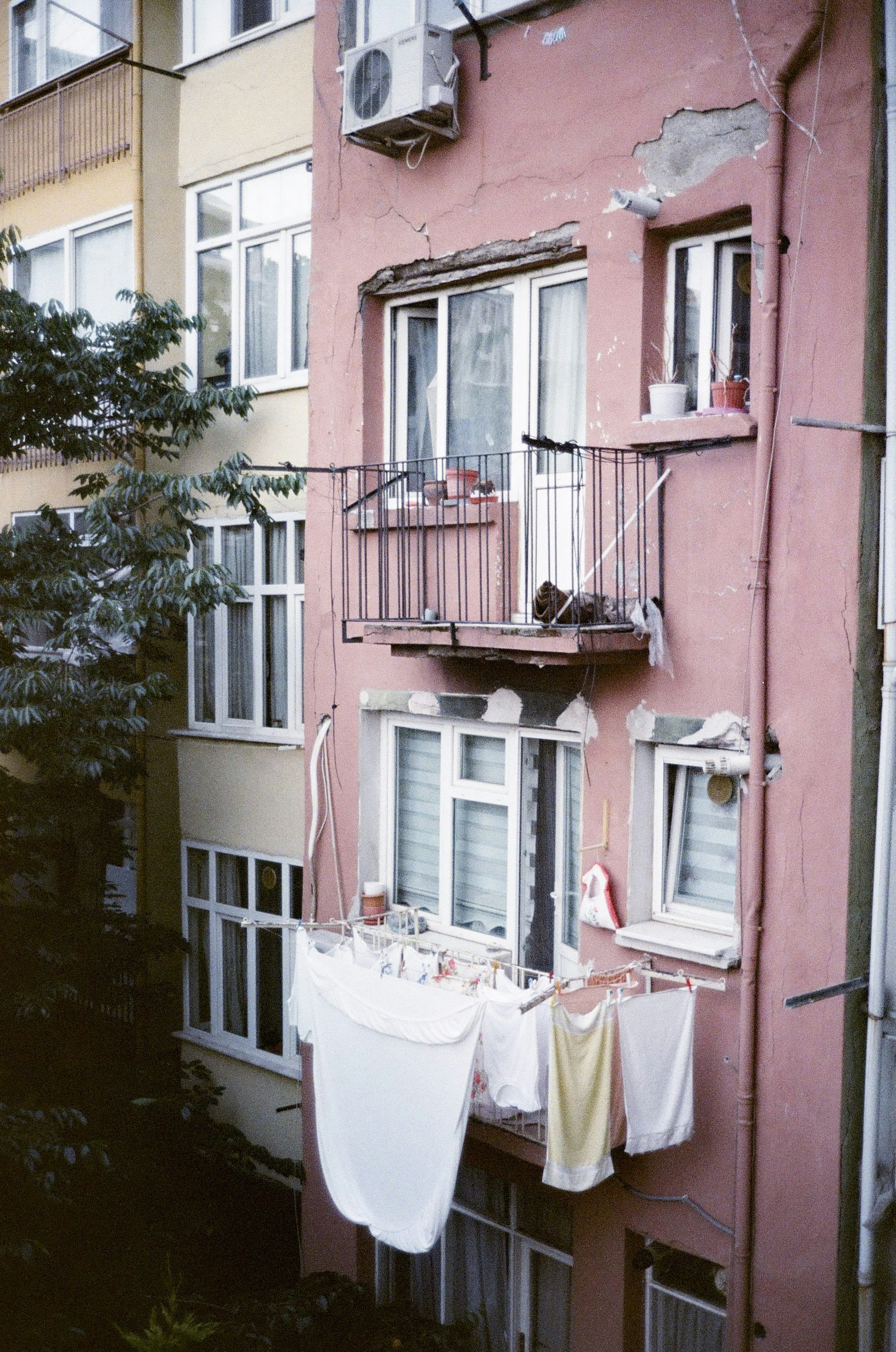 photo-1738106380260-76bbf1567dcd?ixid=M3