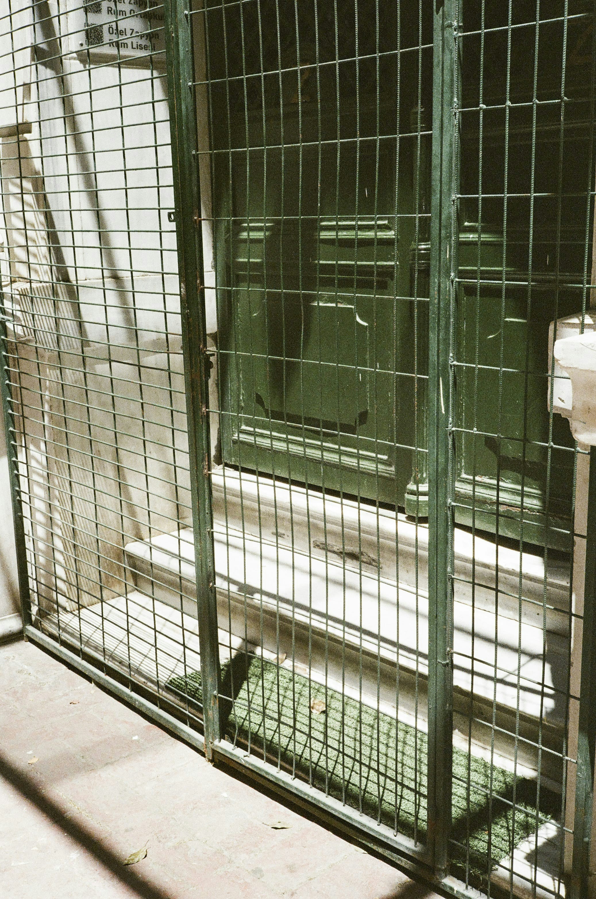 Why Do Some Sugar Glider Cages Develop Rust Faster Than Others?