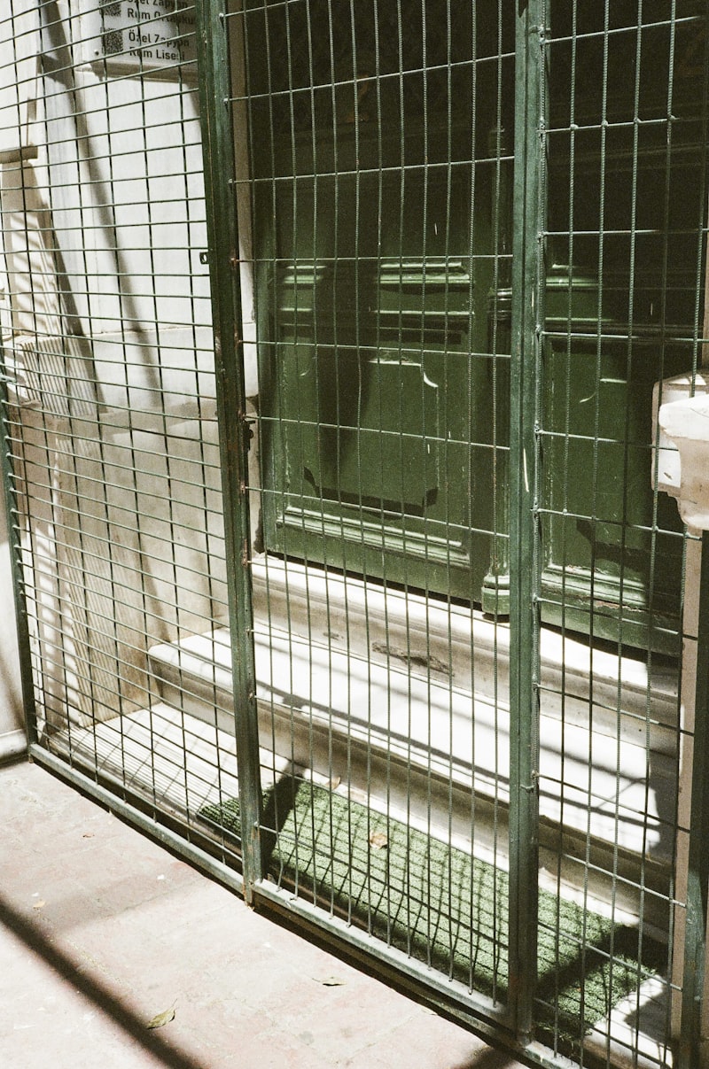 Kandang Kucing Single Pintu Premium