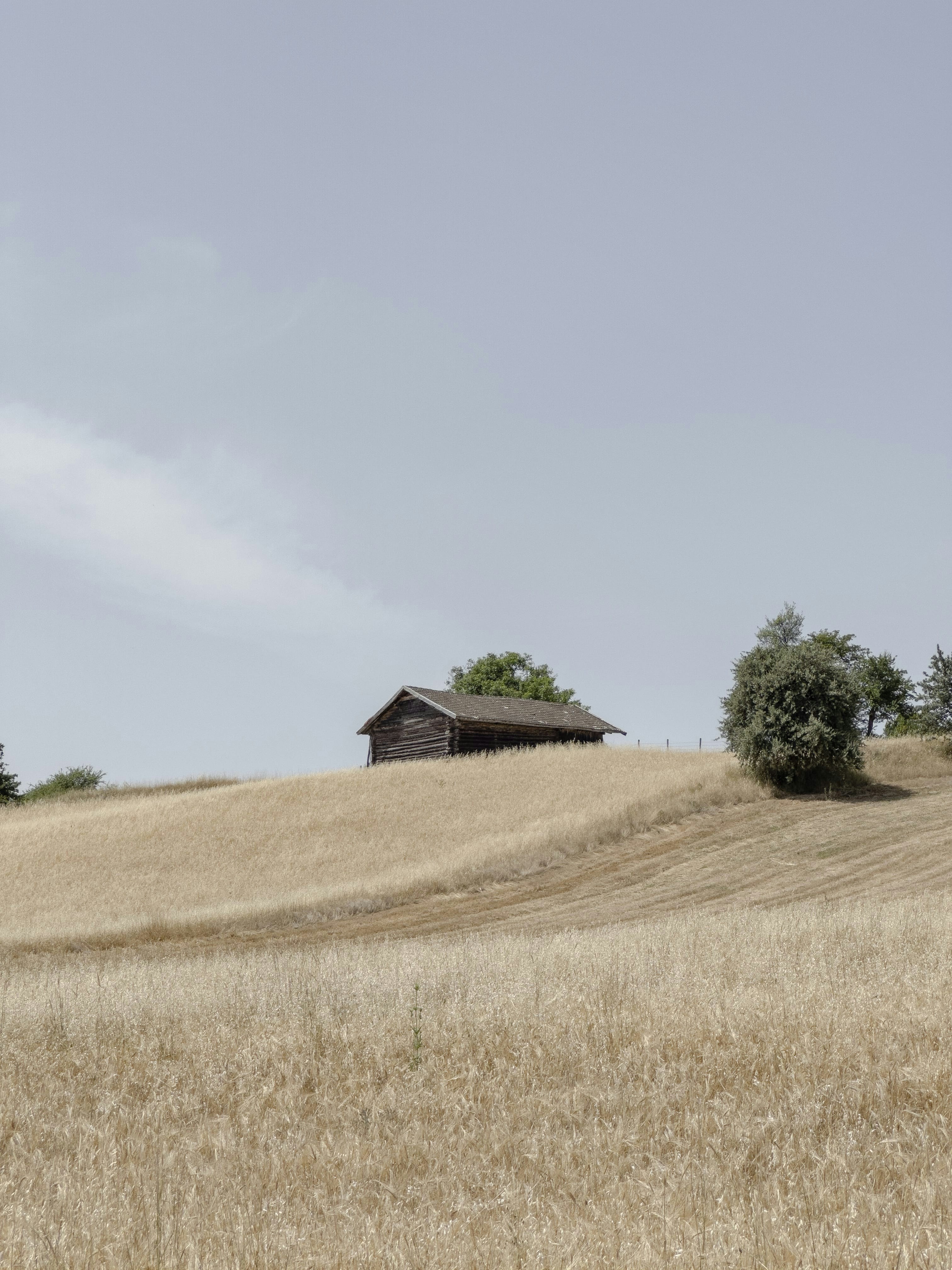 Photo by kennyzhang29