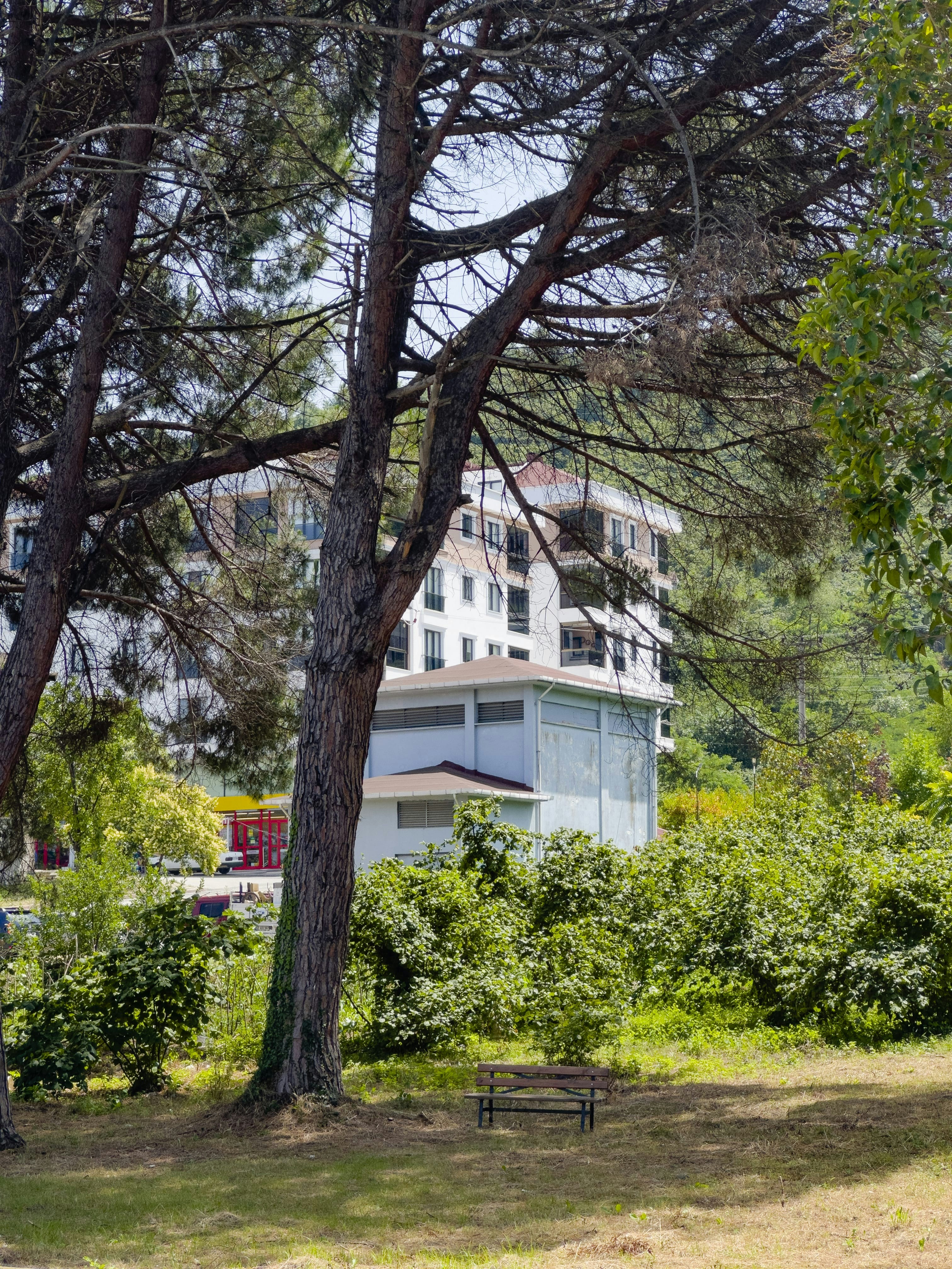 Photo by kennyzhang29