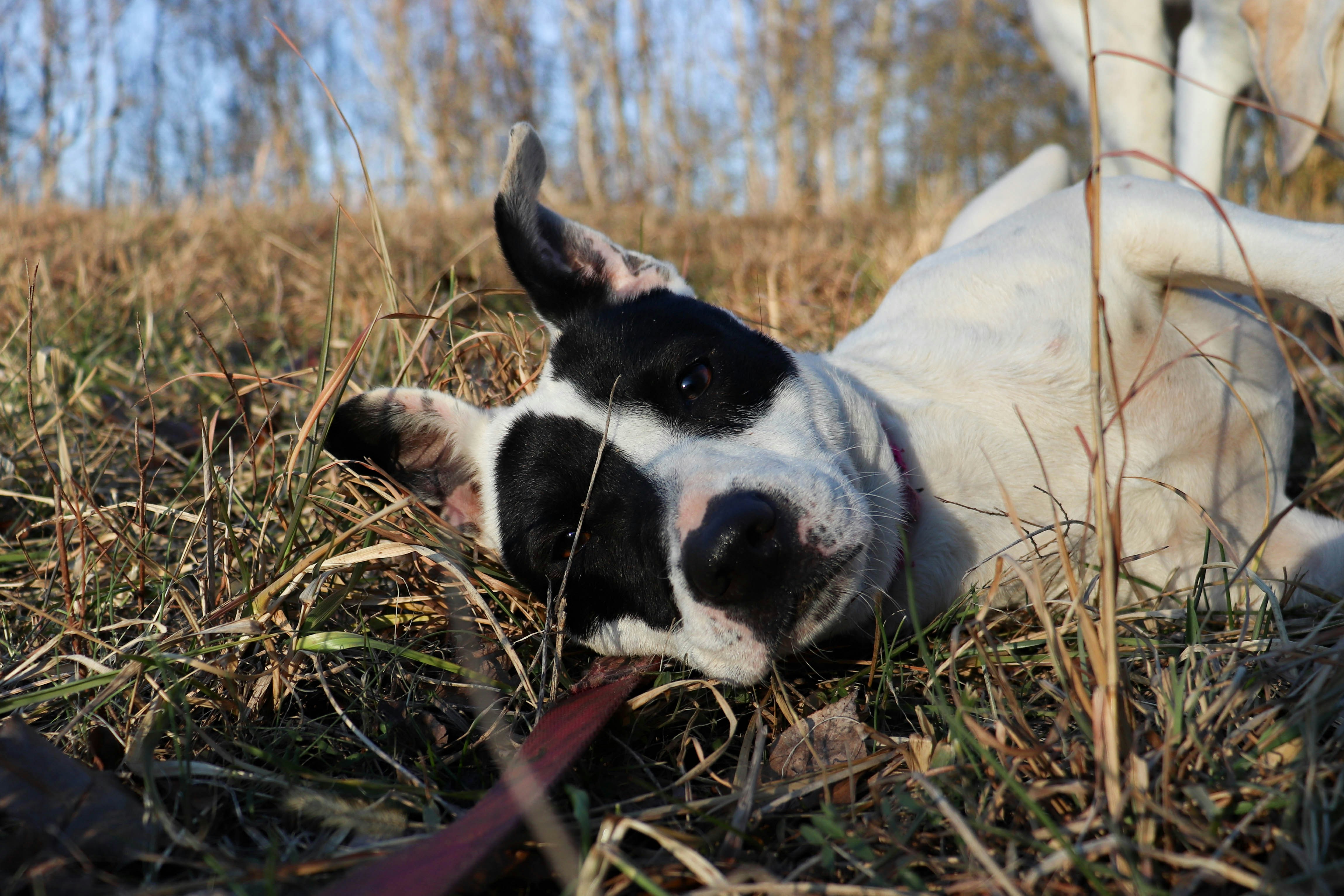 Photo by lroberts067