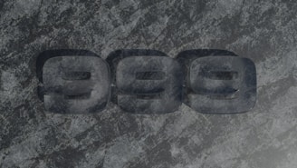 A close up of a stone with the word peace carved into it