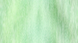 A blurry image of a green background