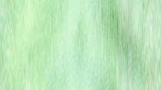 A blurry image of a green background