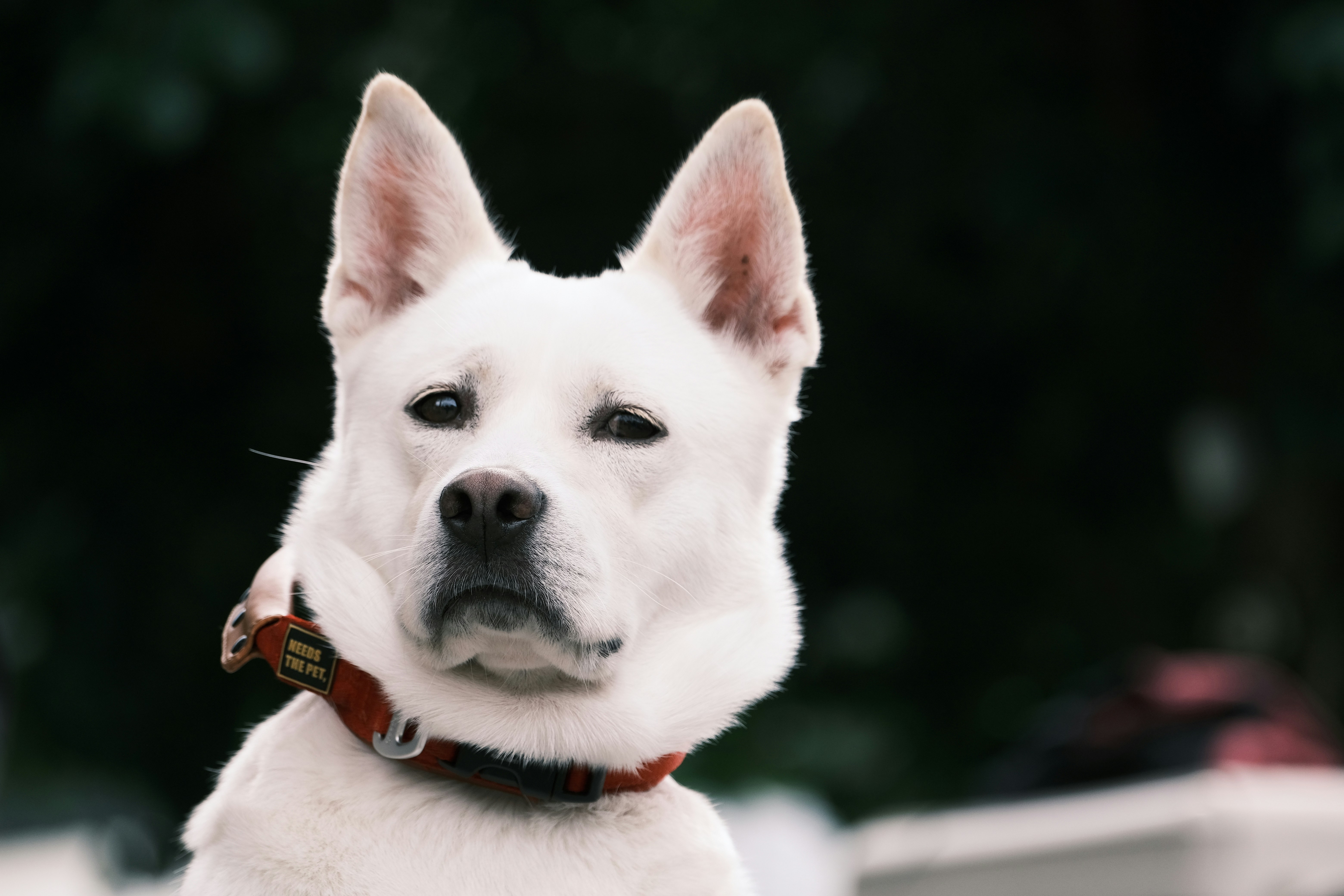 Photo by jogangyeonn