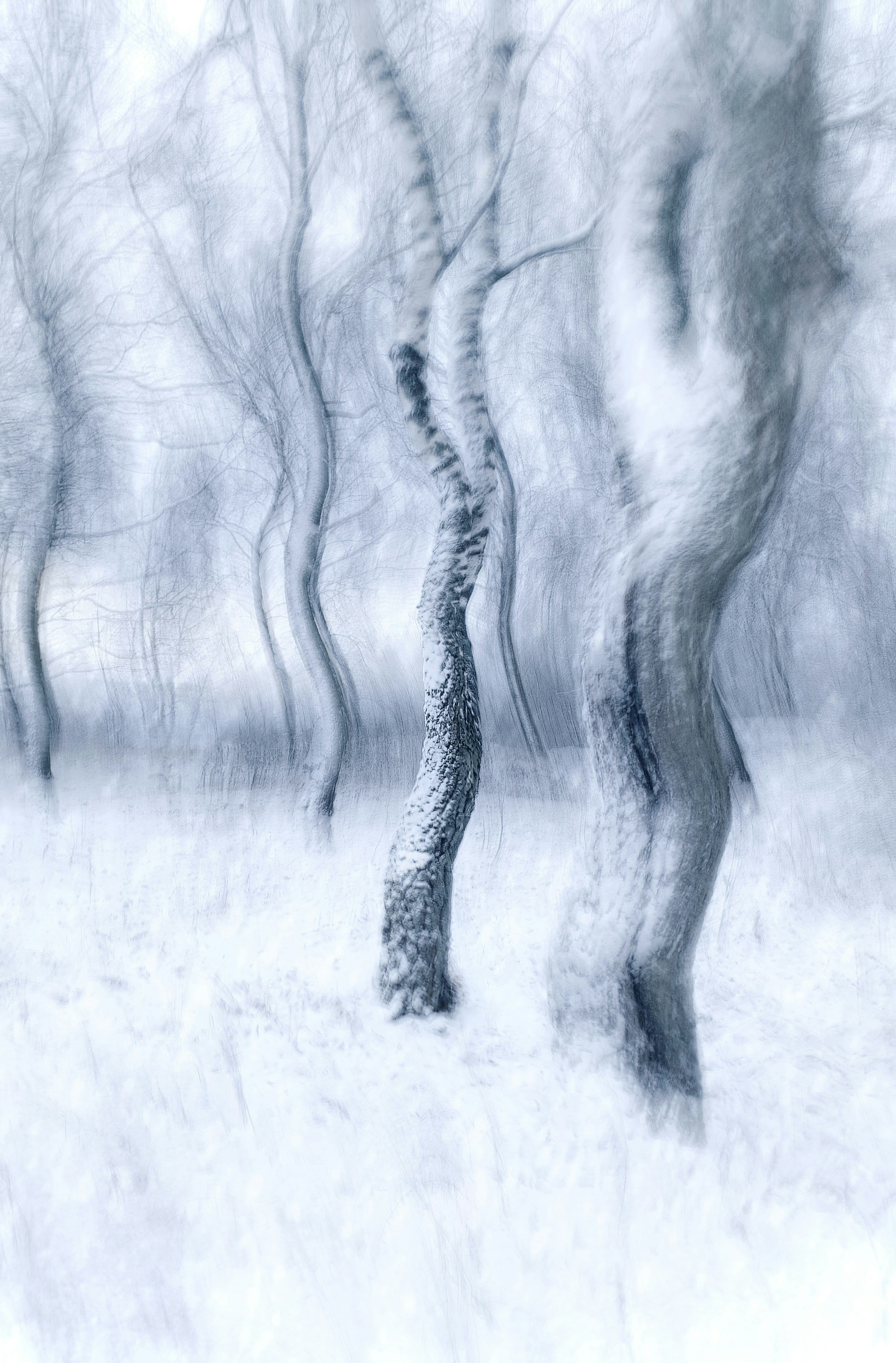 Photo by eugene_golovesov