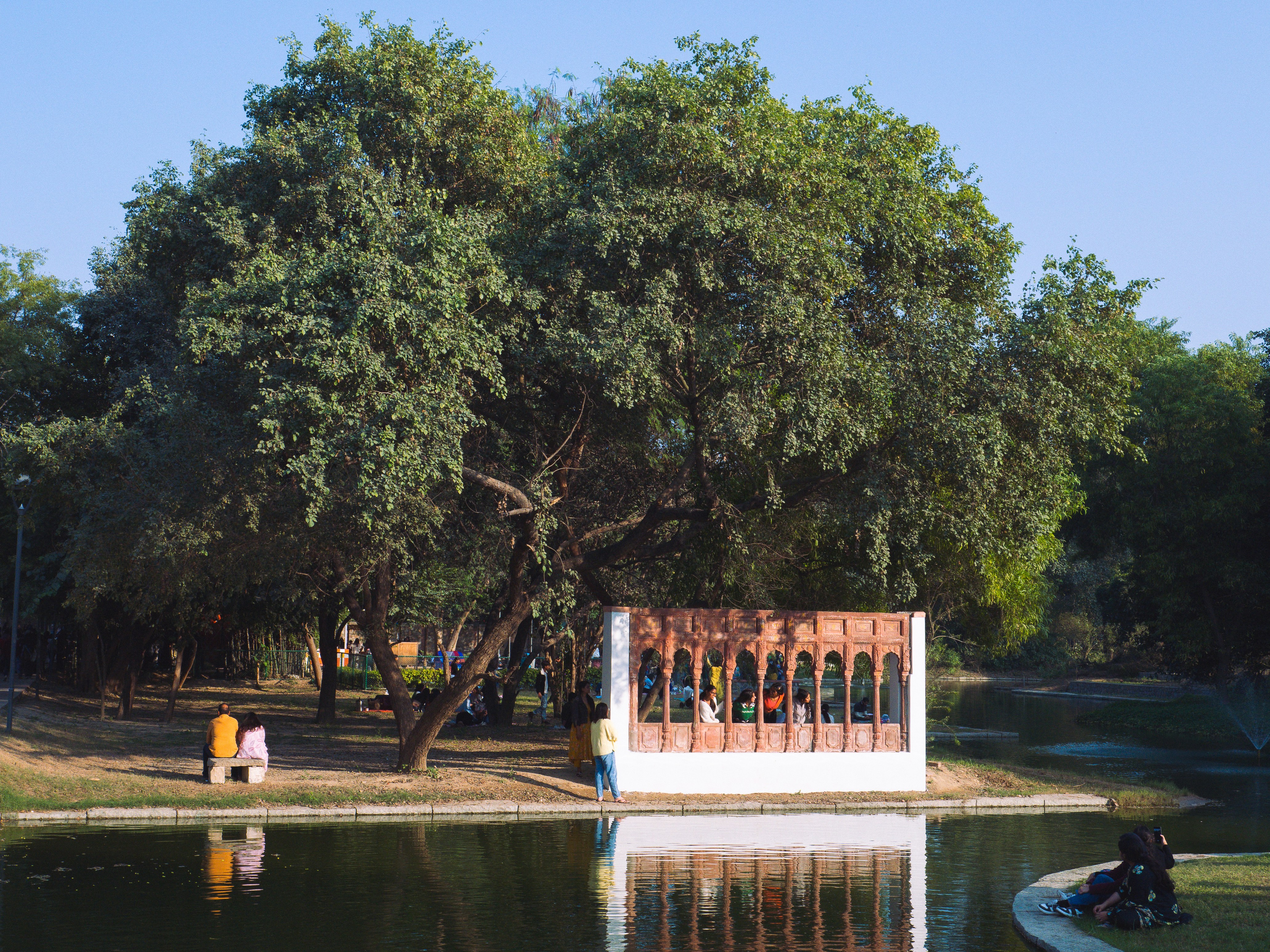 A small boat in the water near a tree