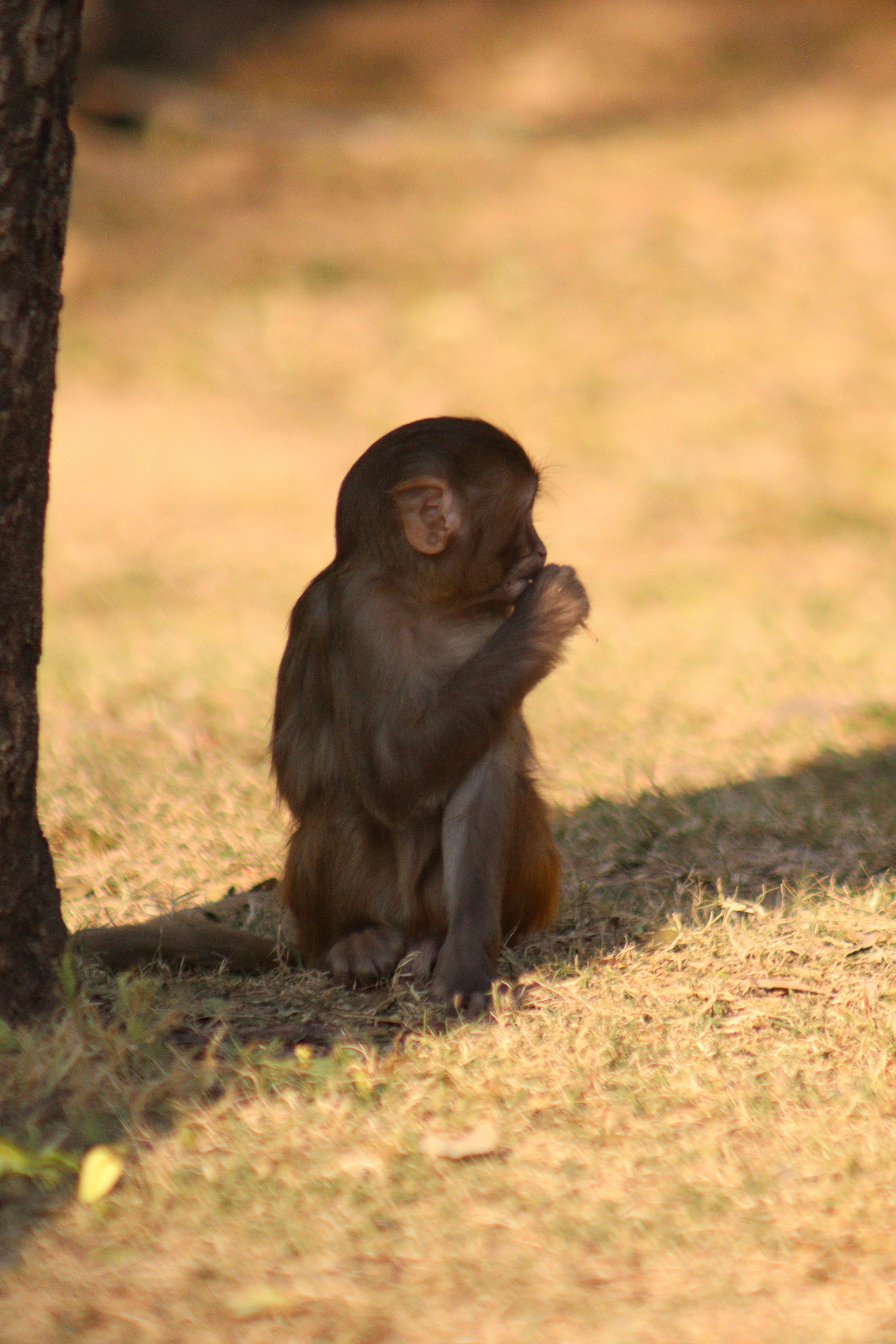 Photo by alihamzatullah