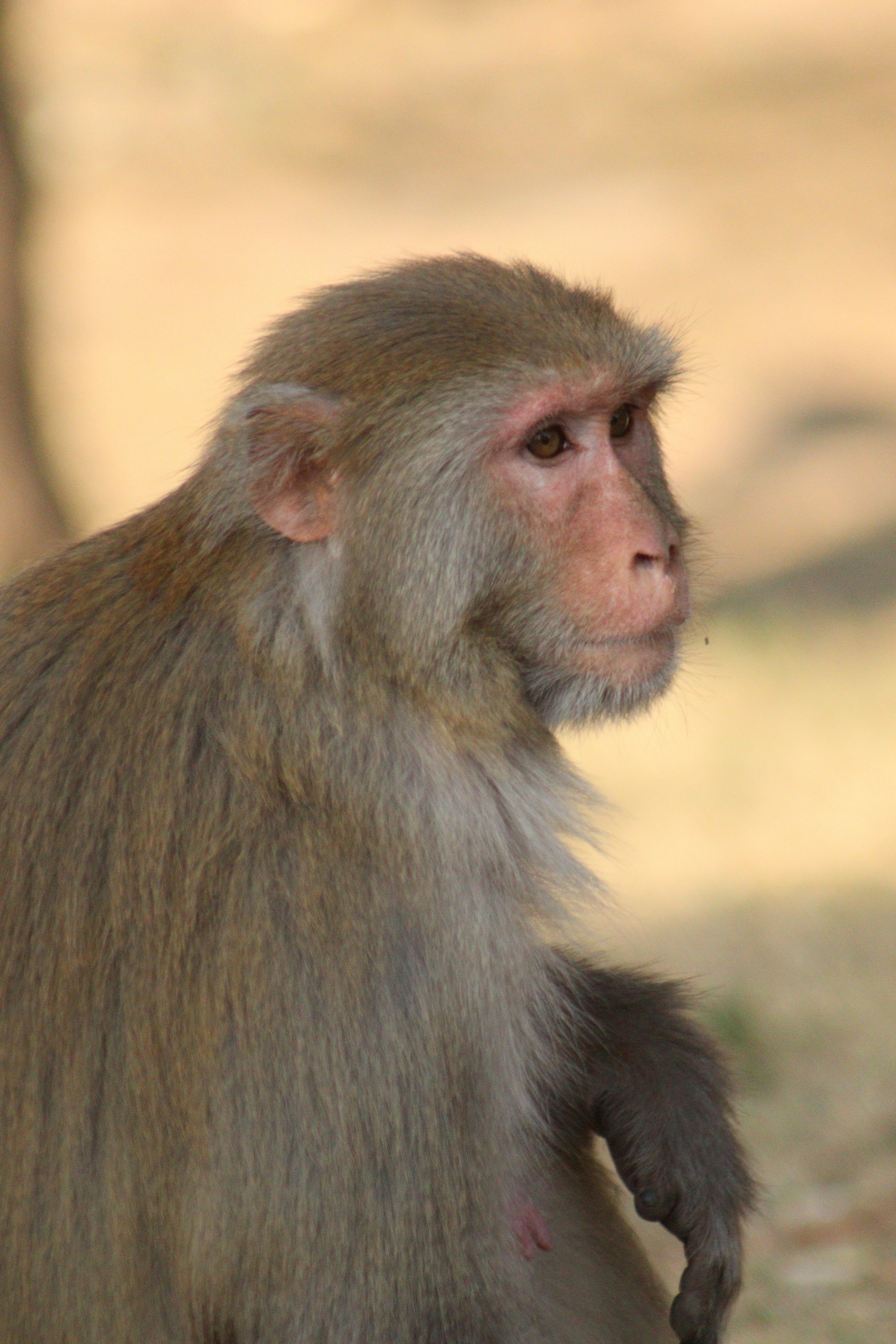 Photo by alihamzatullah