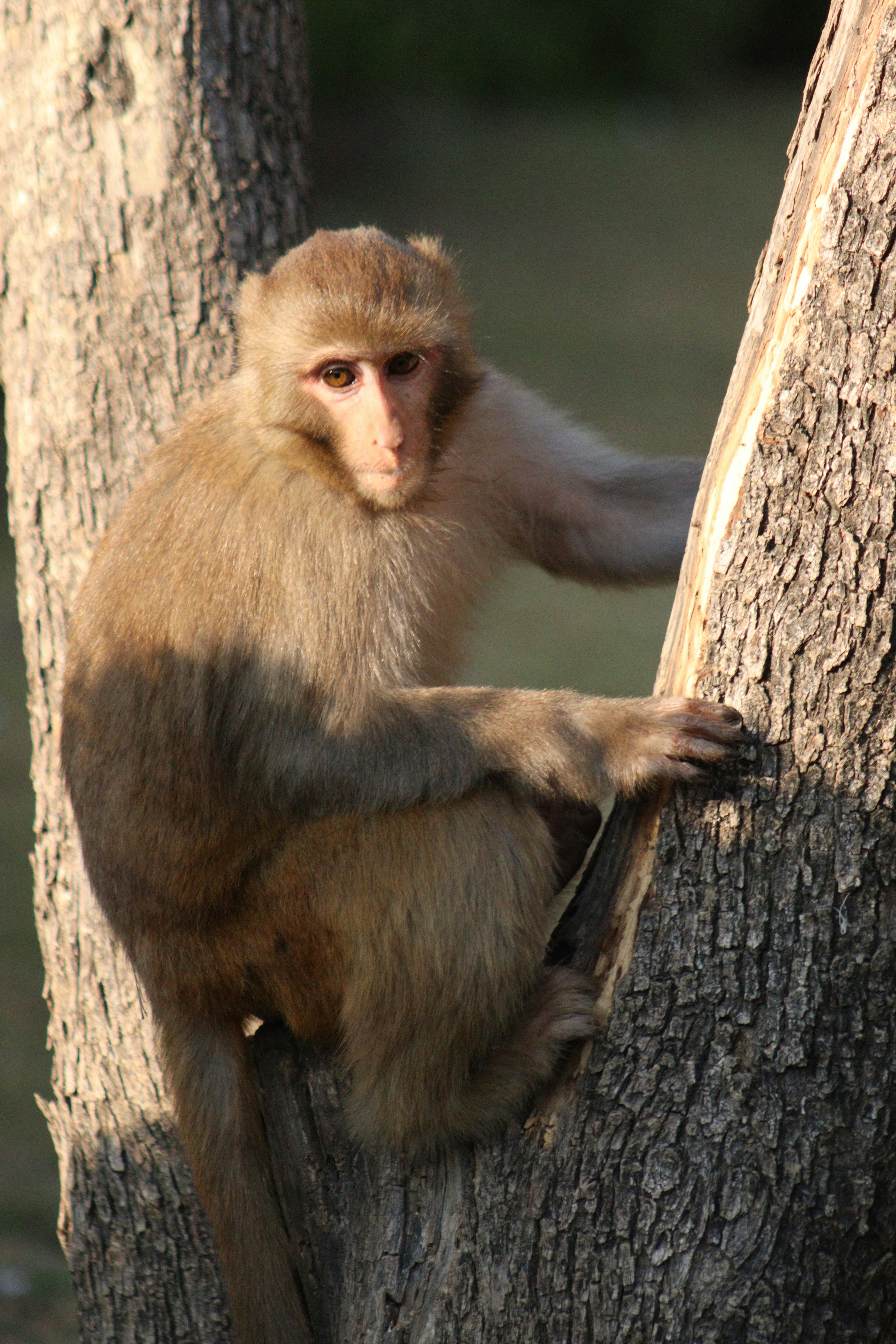 Photo by alihamzatullah