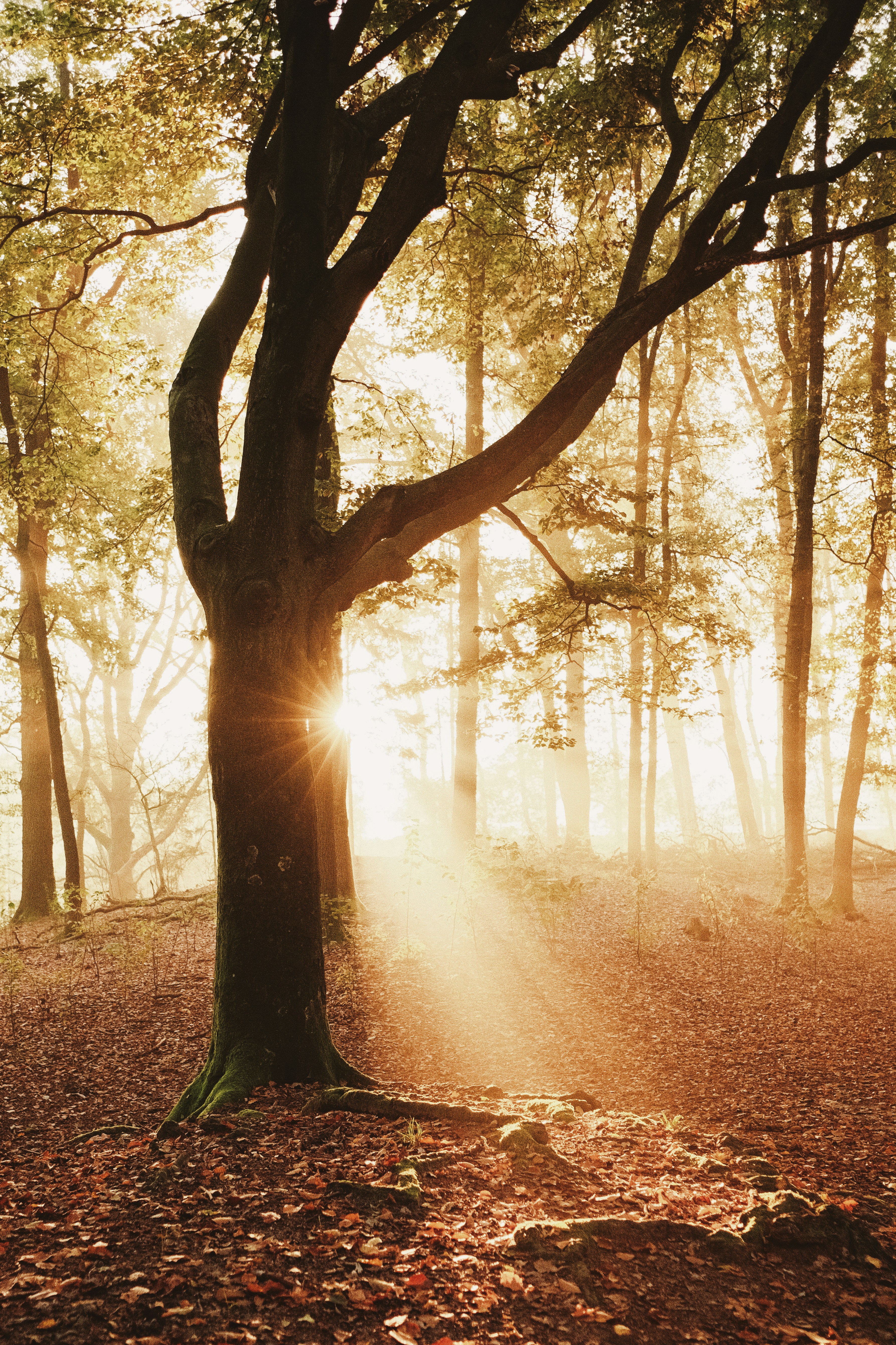 Photo by visualsbying