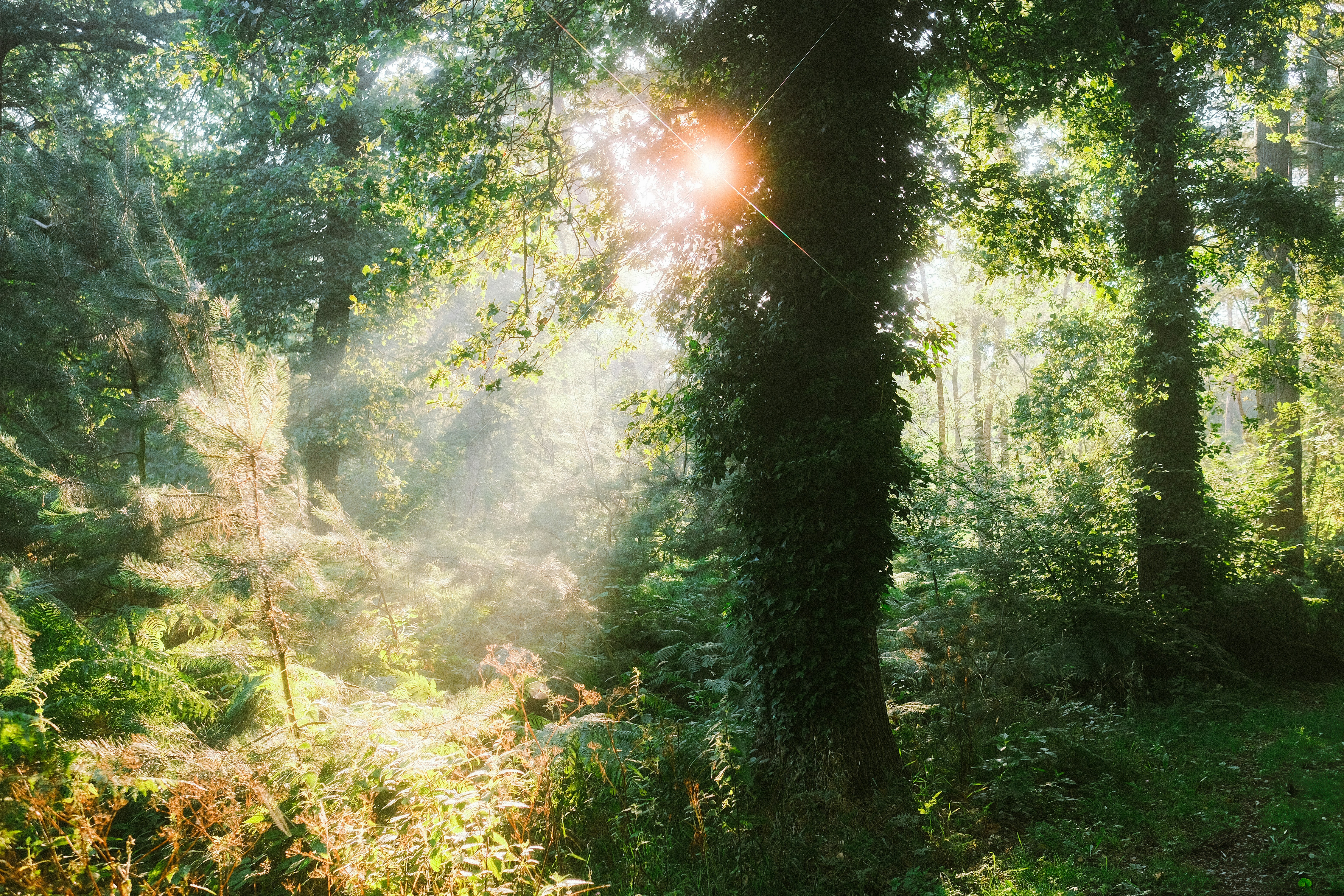 Photo by visualsbying