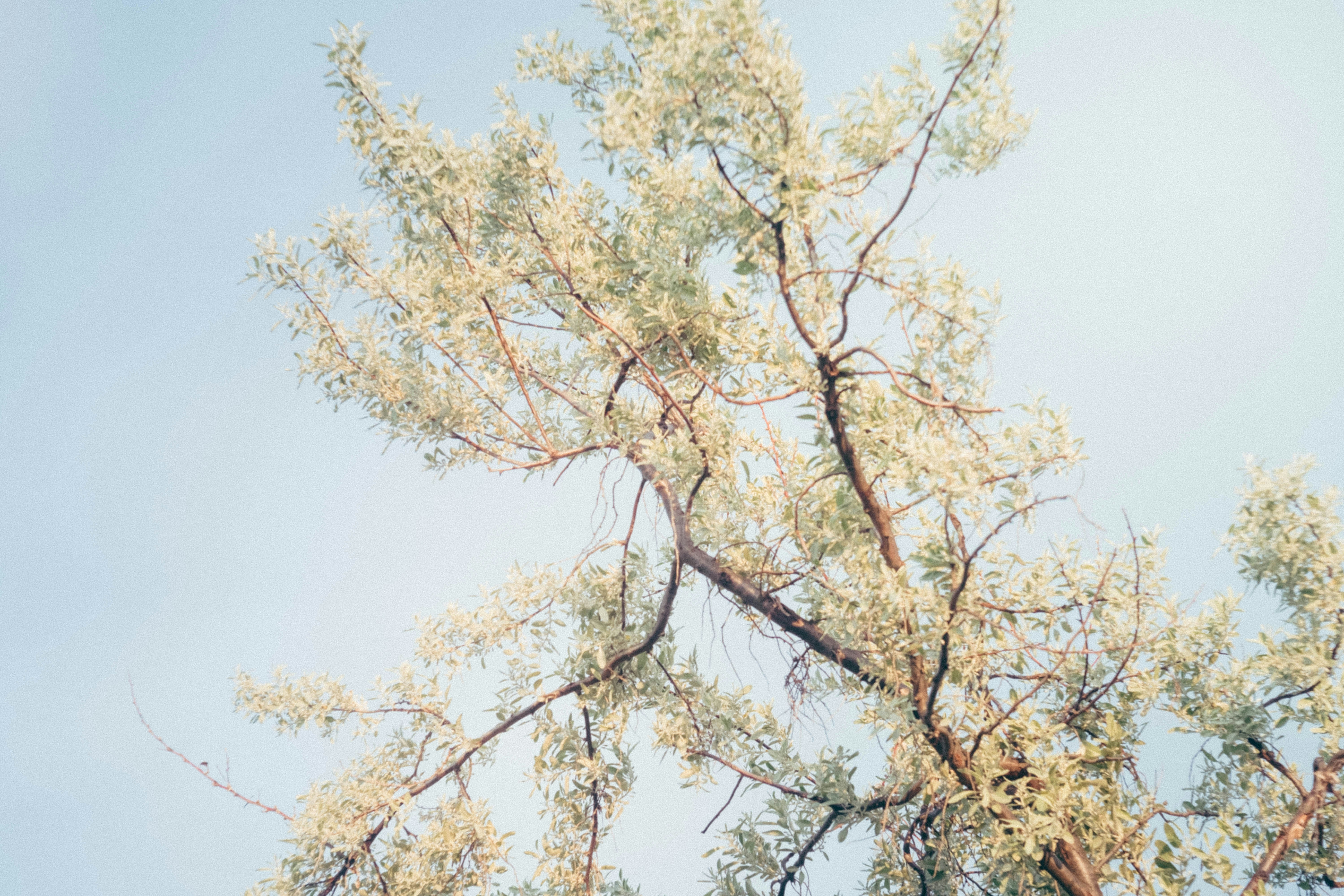 Photo by neverspillthetea