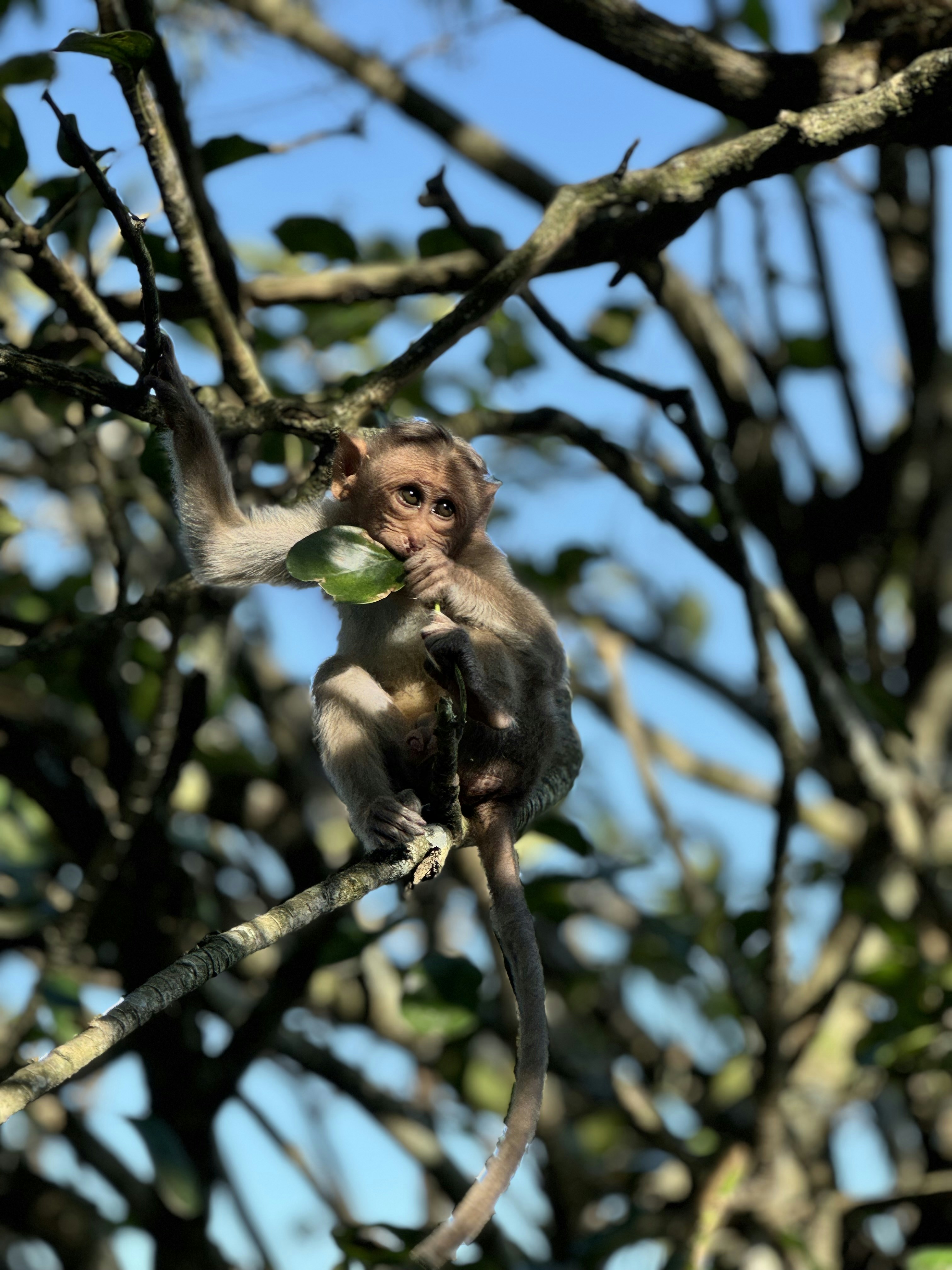 Photo by ratnakarabhi