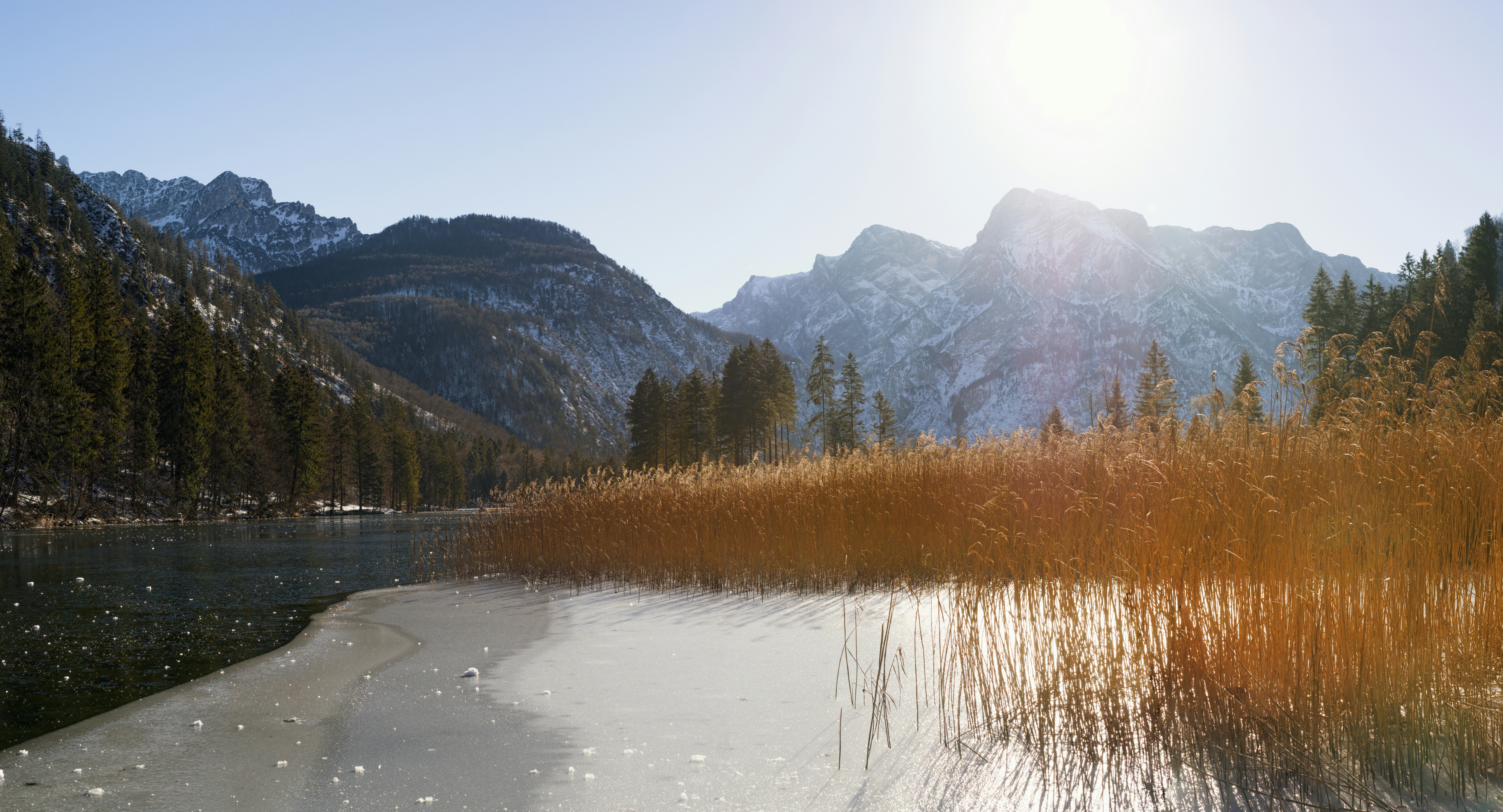 Photo by simon_berger