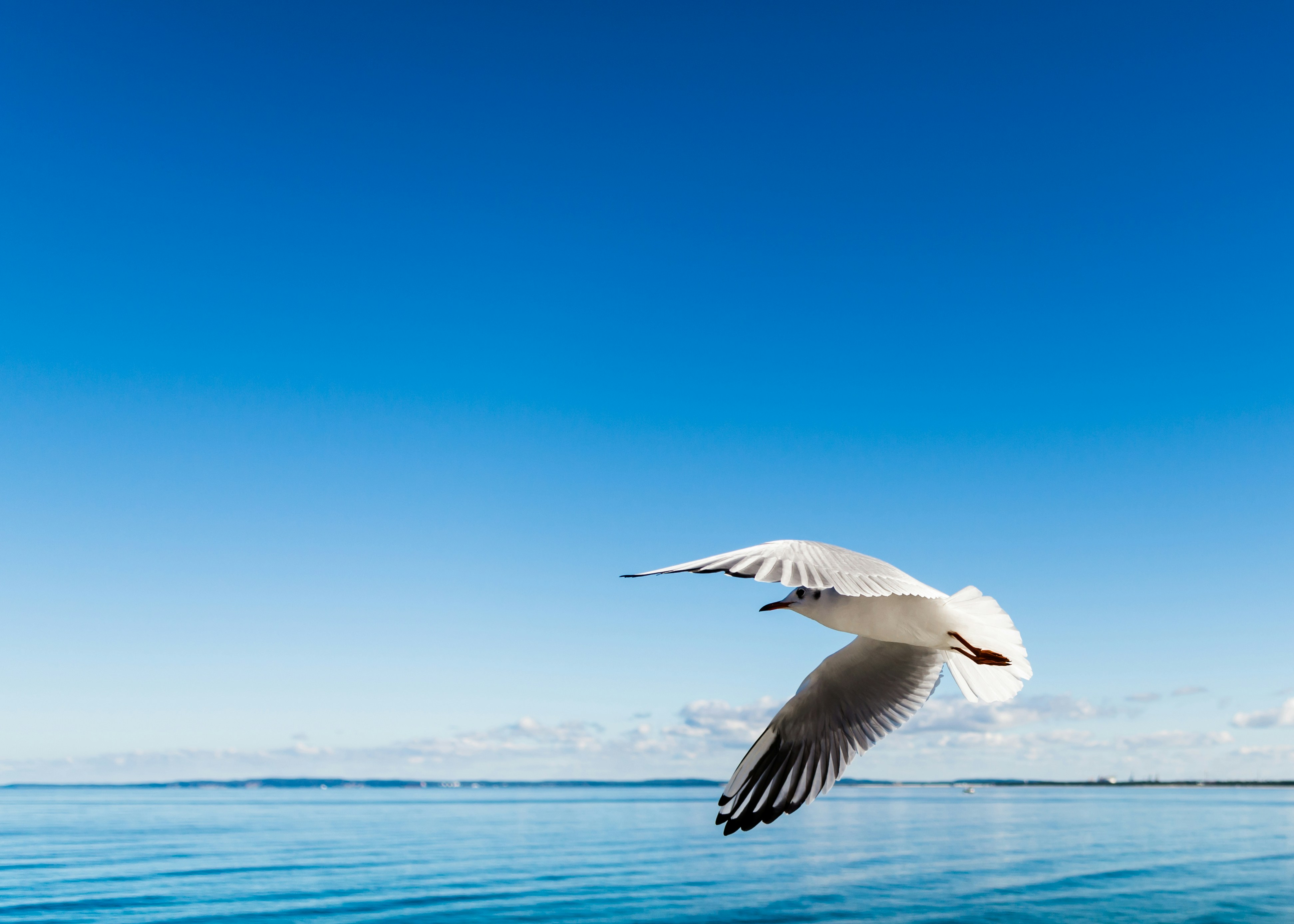 Photo by codefriend_de