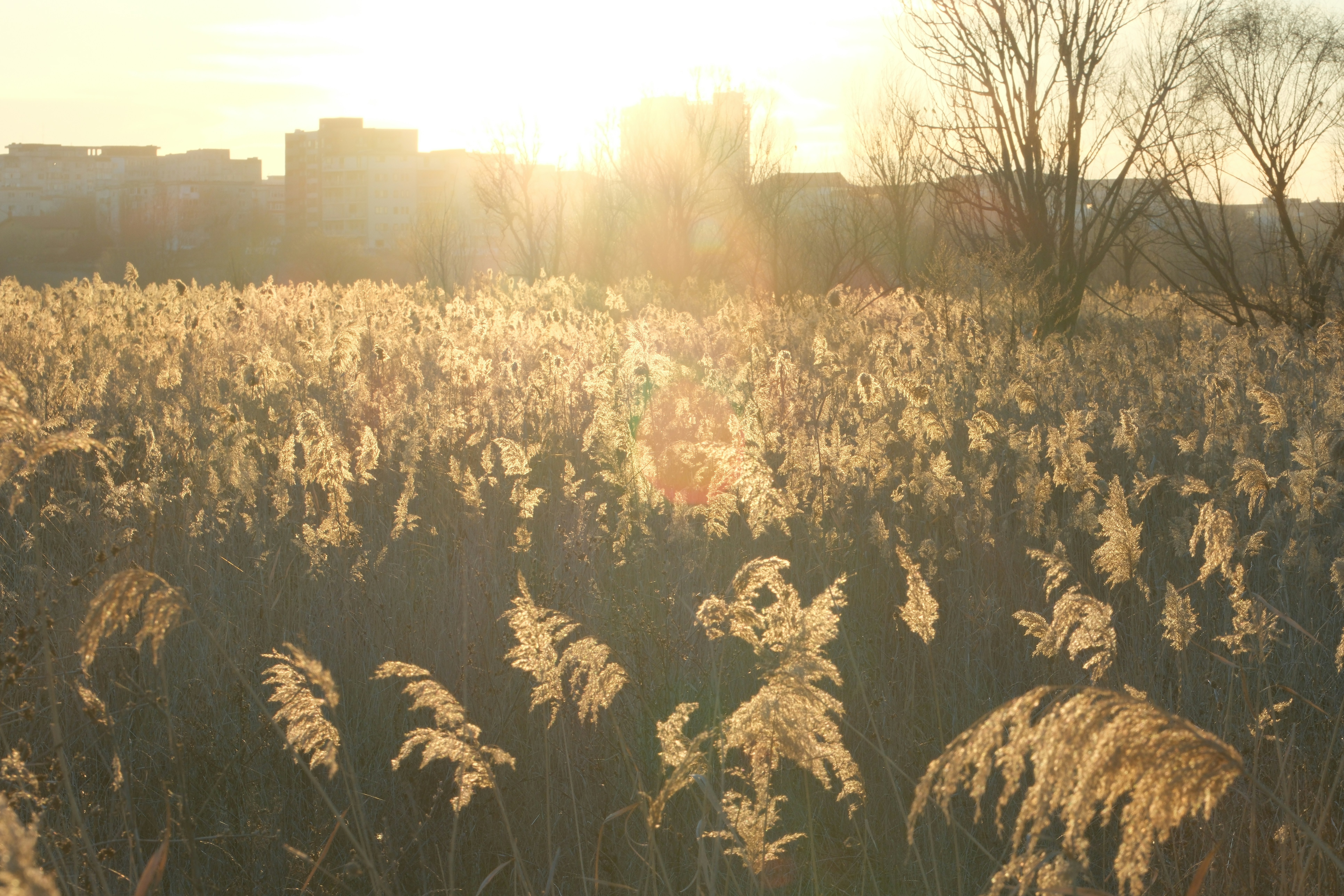 'Vara Verde'' în Parcul Văcăreşti: Tururi ghidate, teatru de păpuşi şi ateliere pentru copii