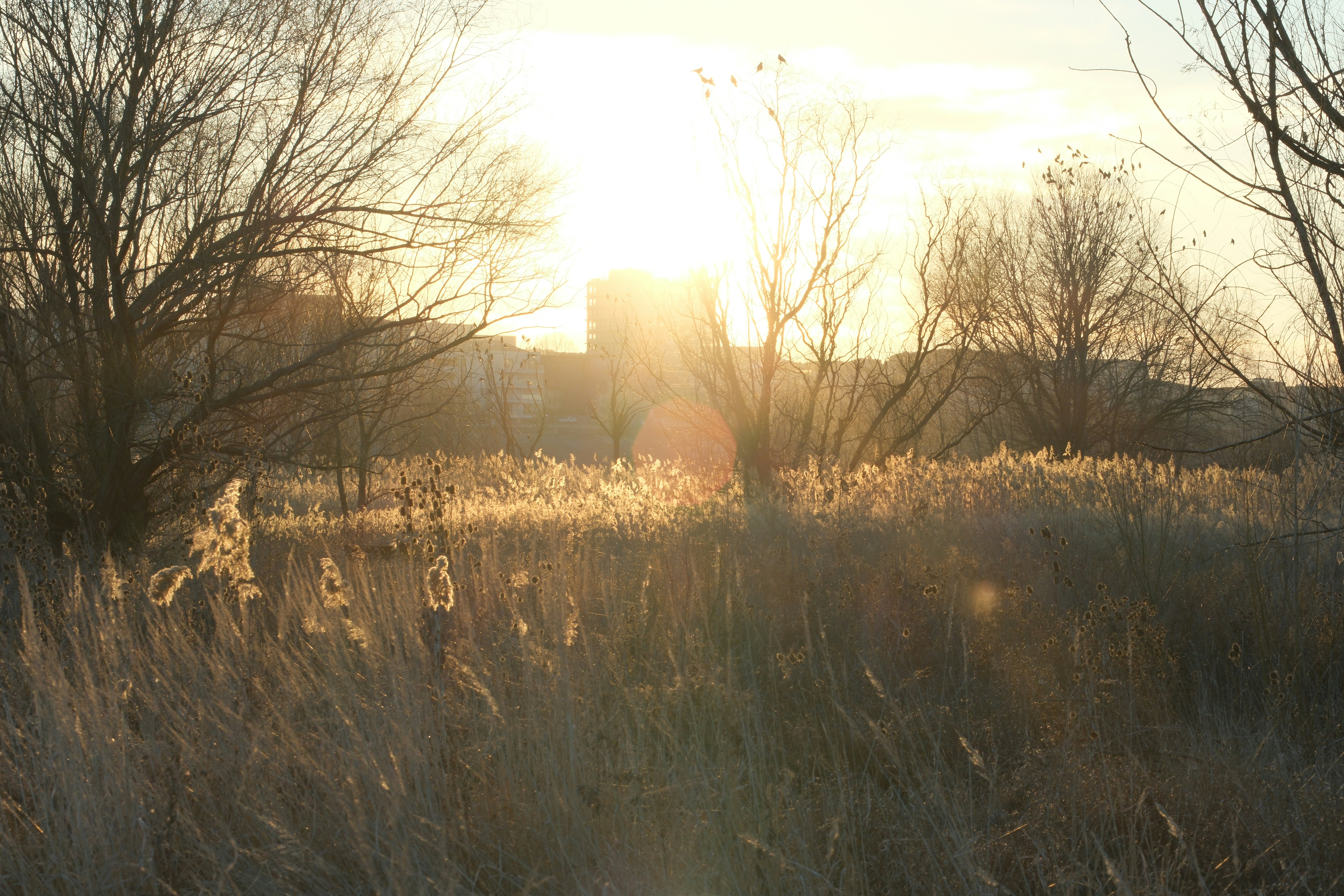 Photo by mihaufy