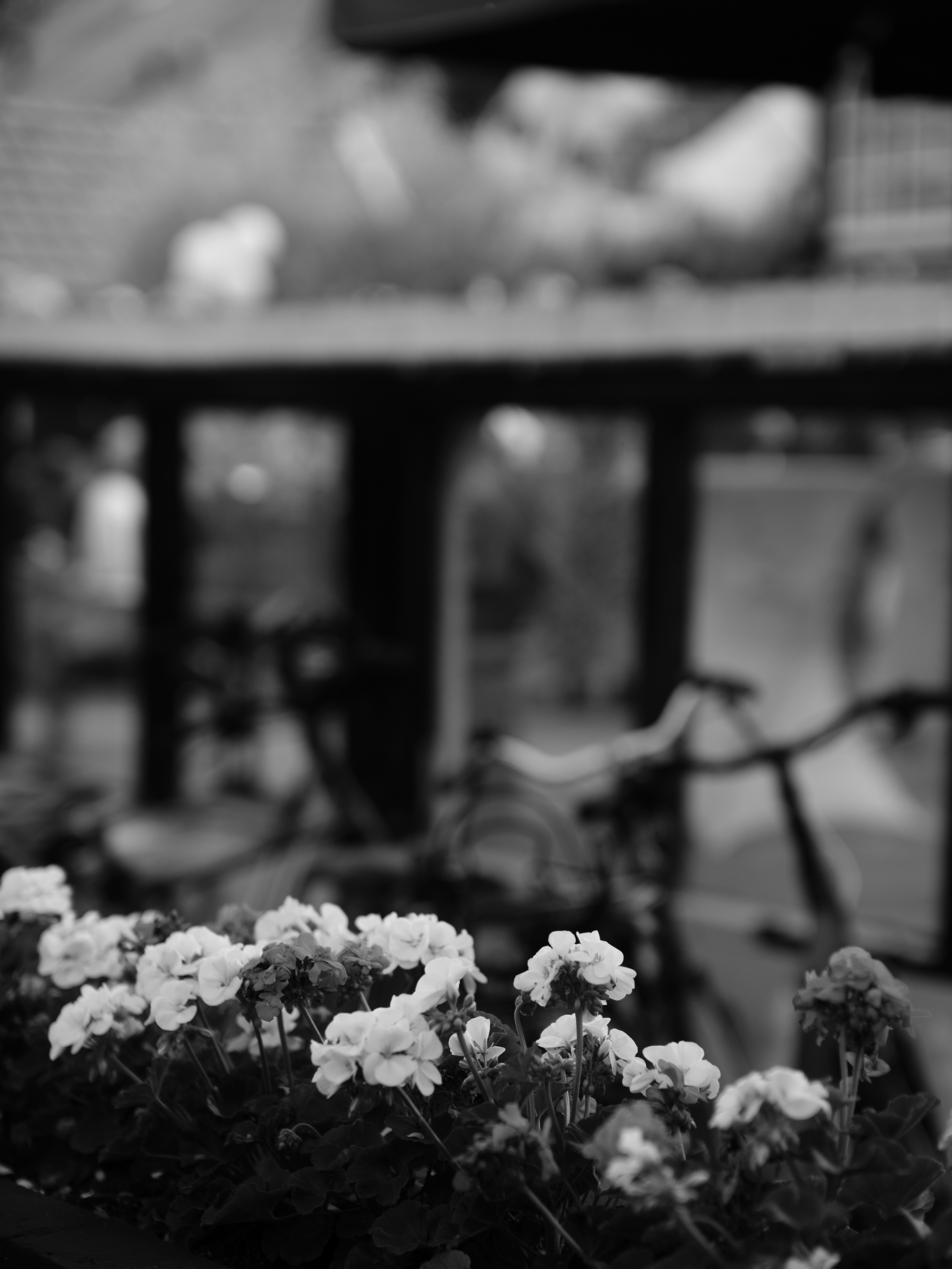 Photo by haberdoedas