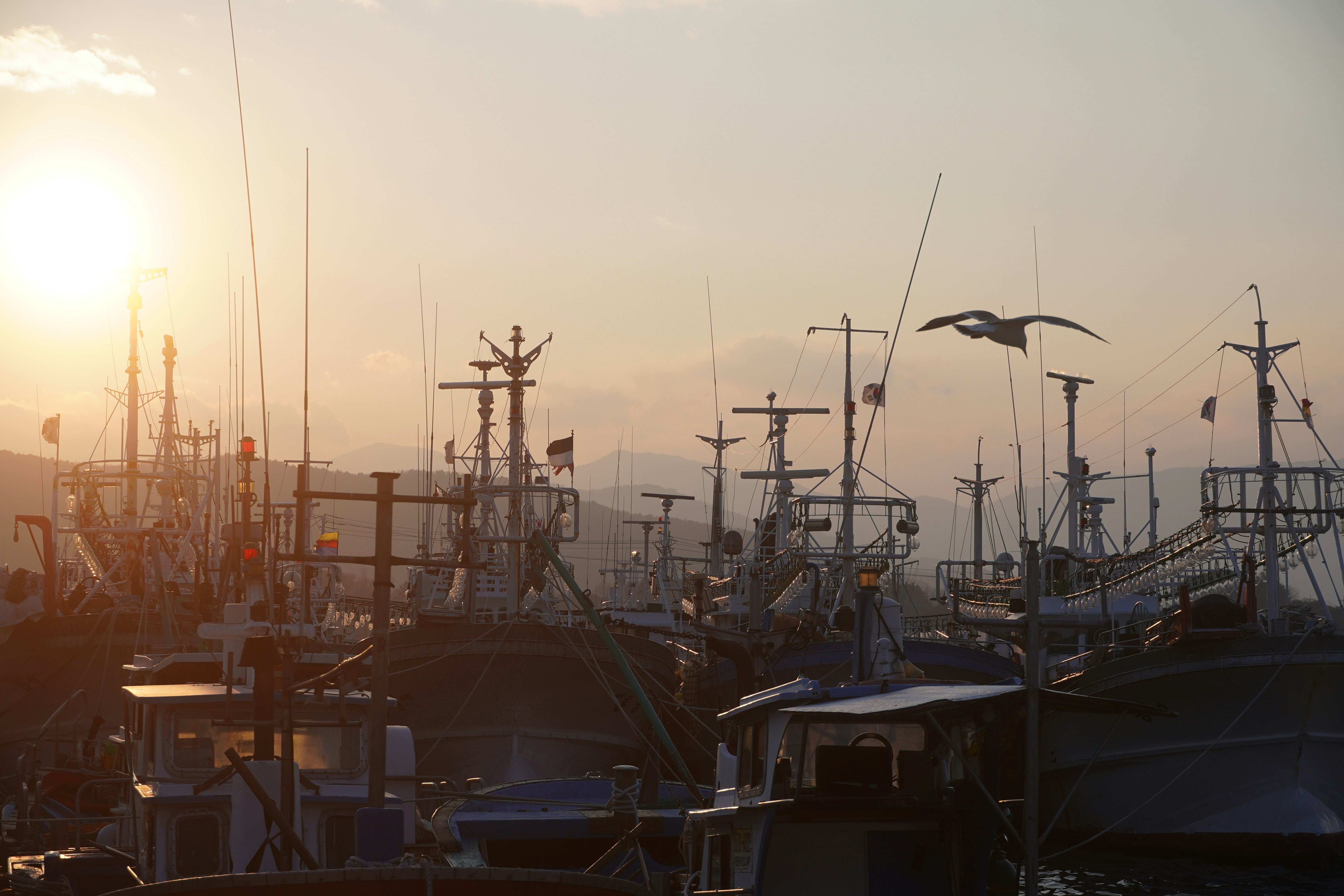 Photo by lifeinkorea