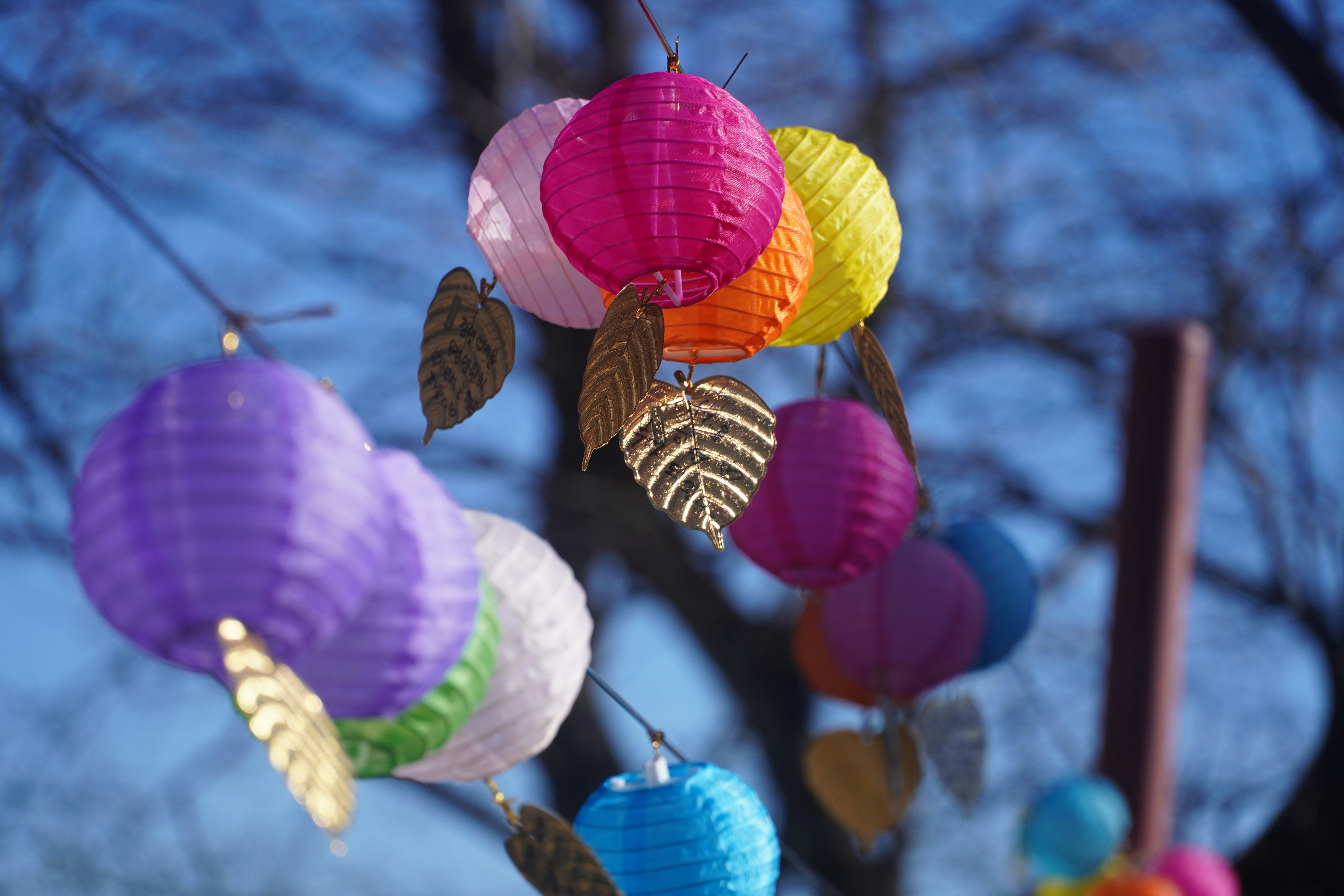 Photo by lifeinkorea