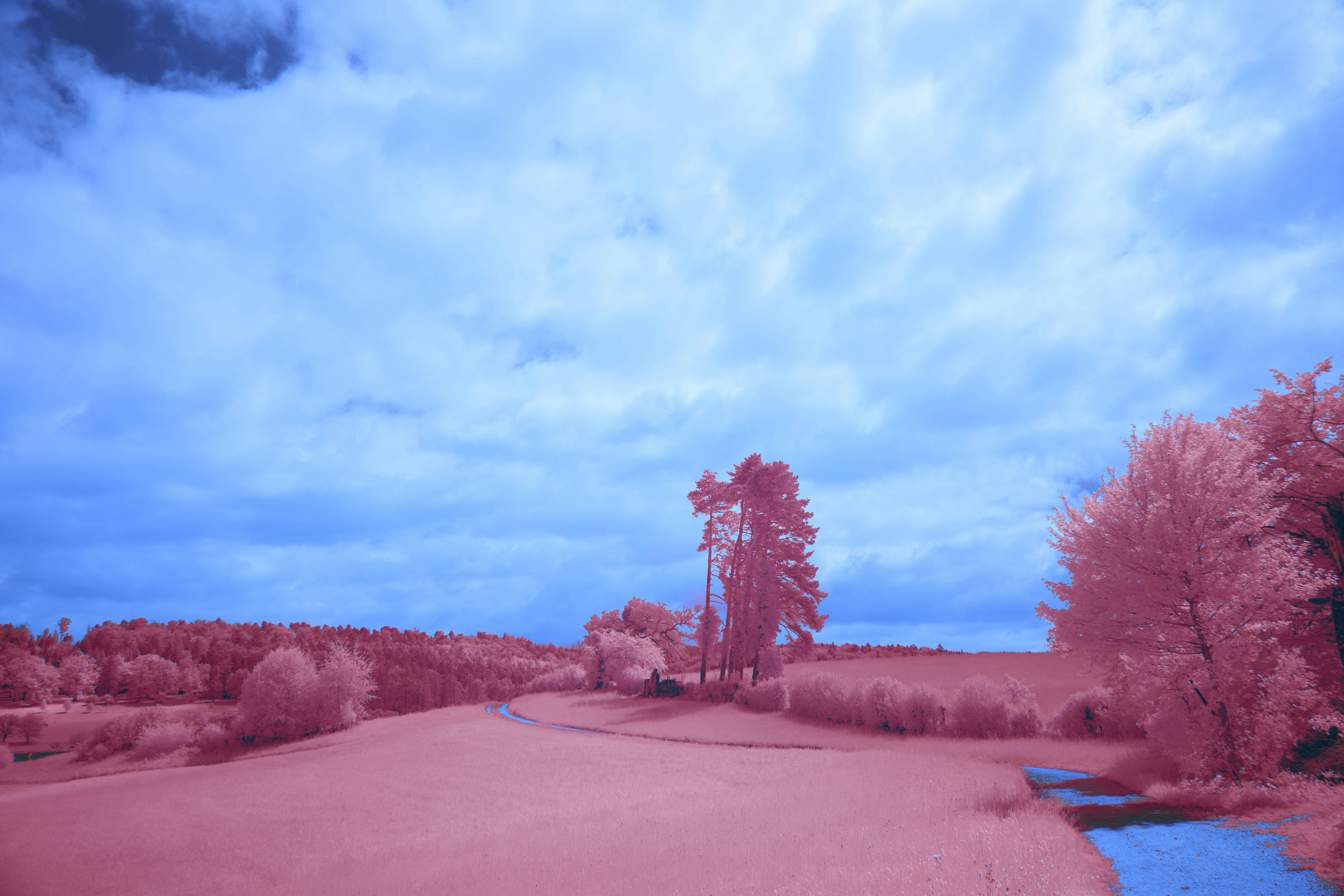 Photo by wolfgang_hasselmann