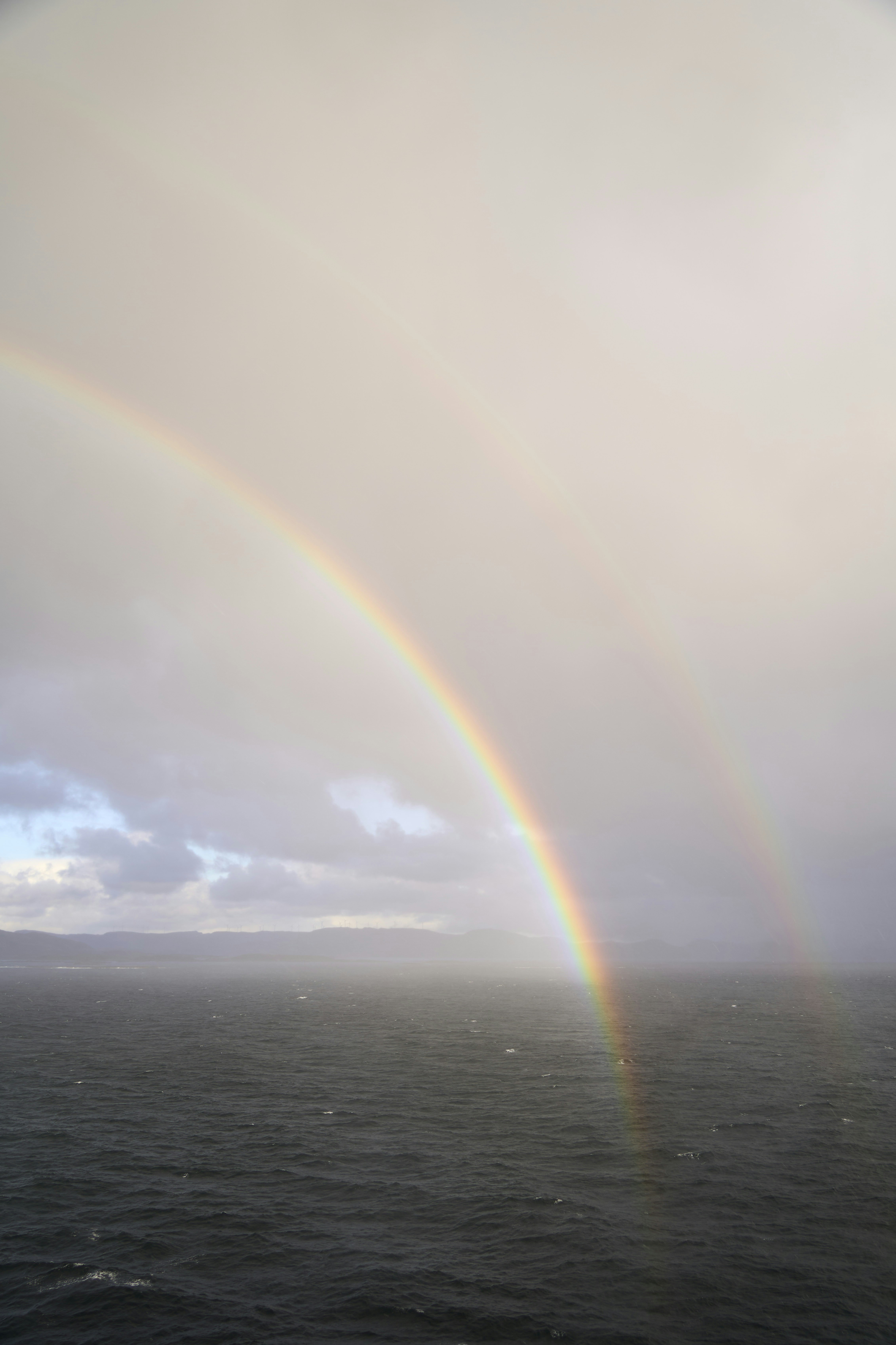 Photo by wolfgang_hasselmann