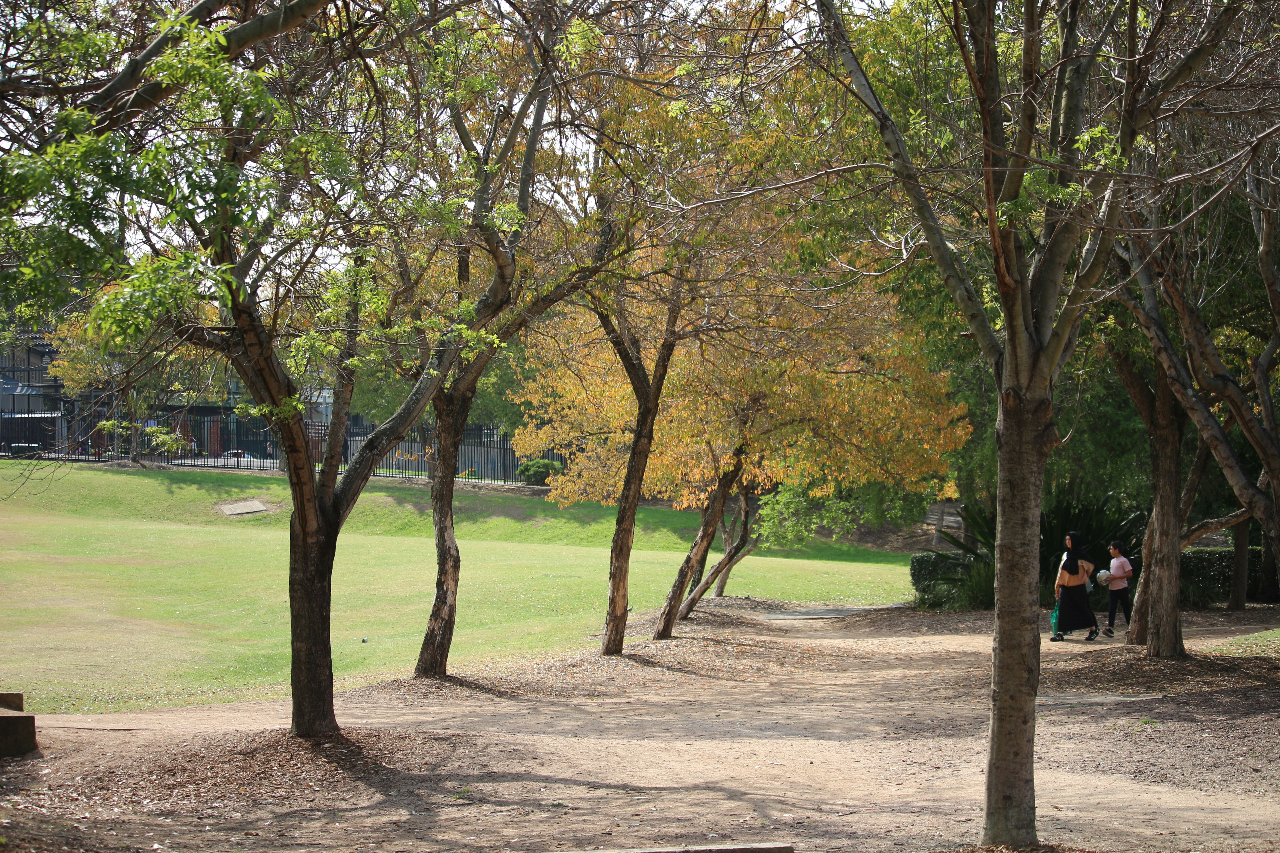 A group of people sitting on a bench in a park