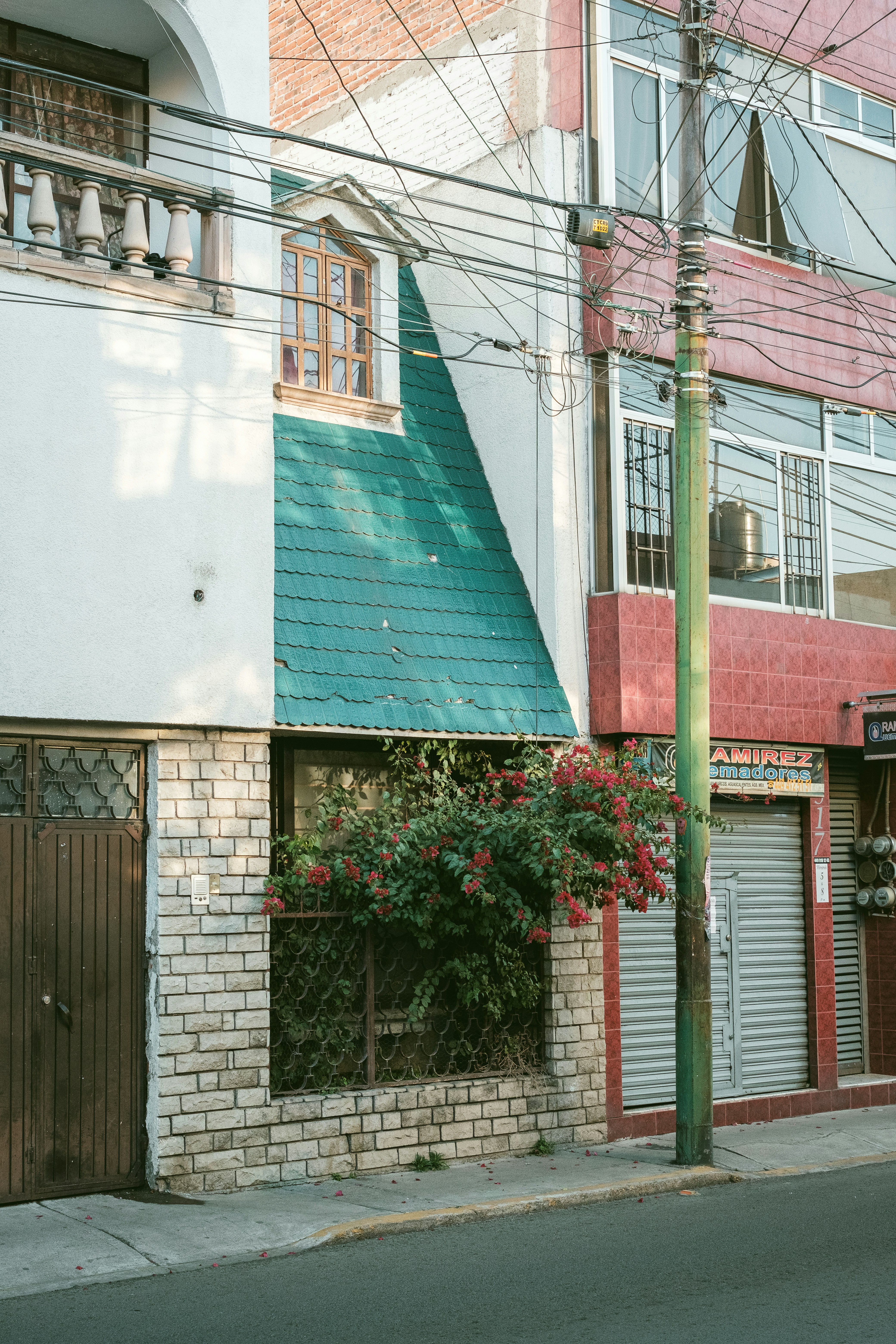 Photo by alex_quezada