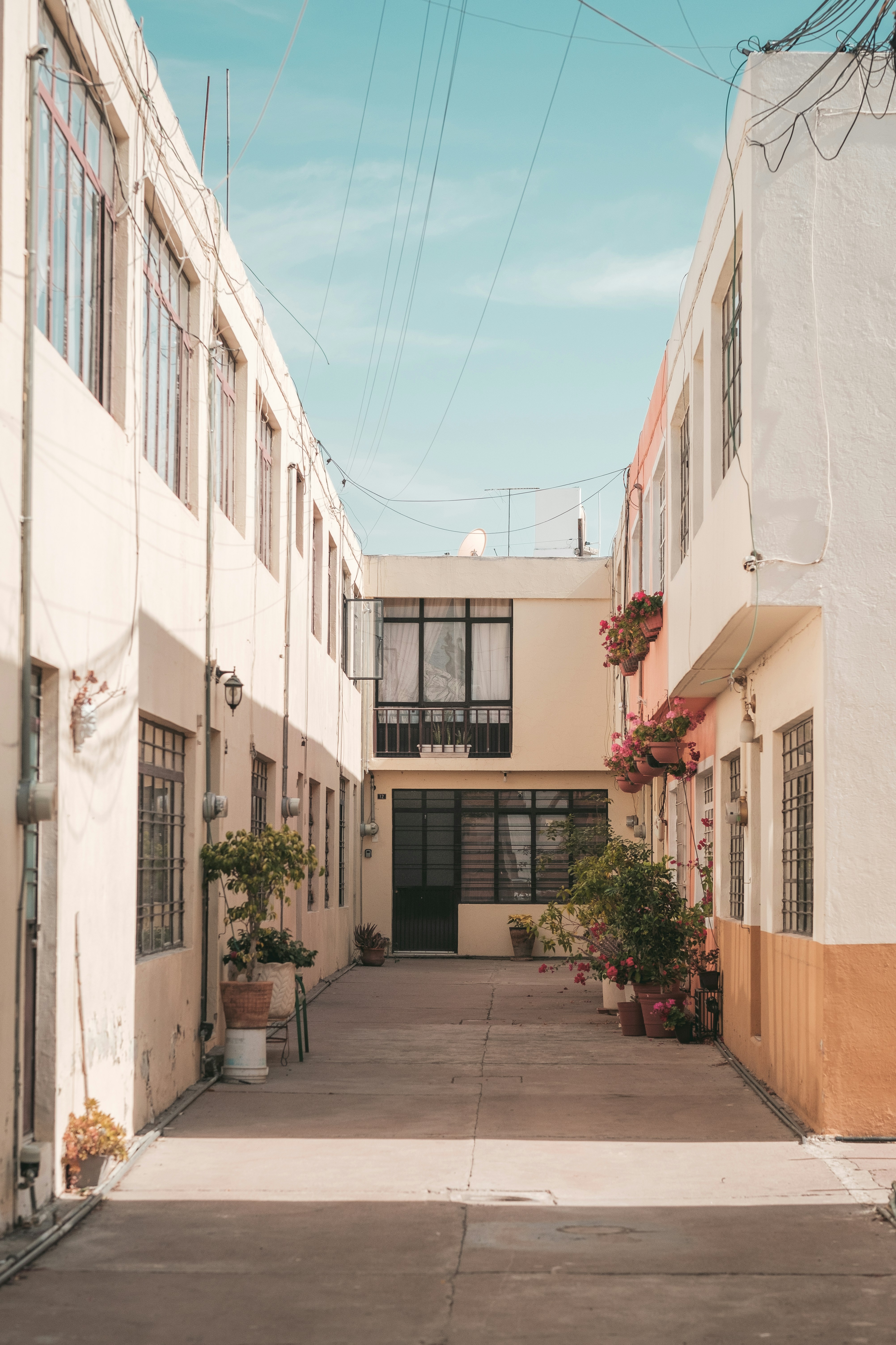 Photo by alex_quezada