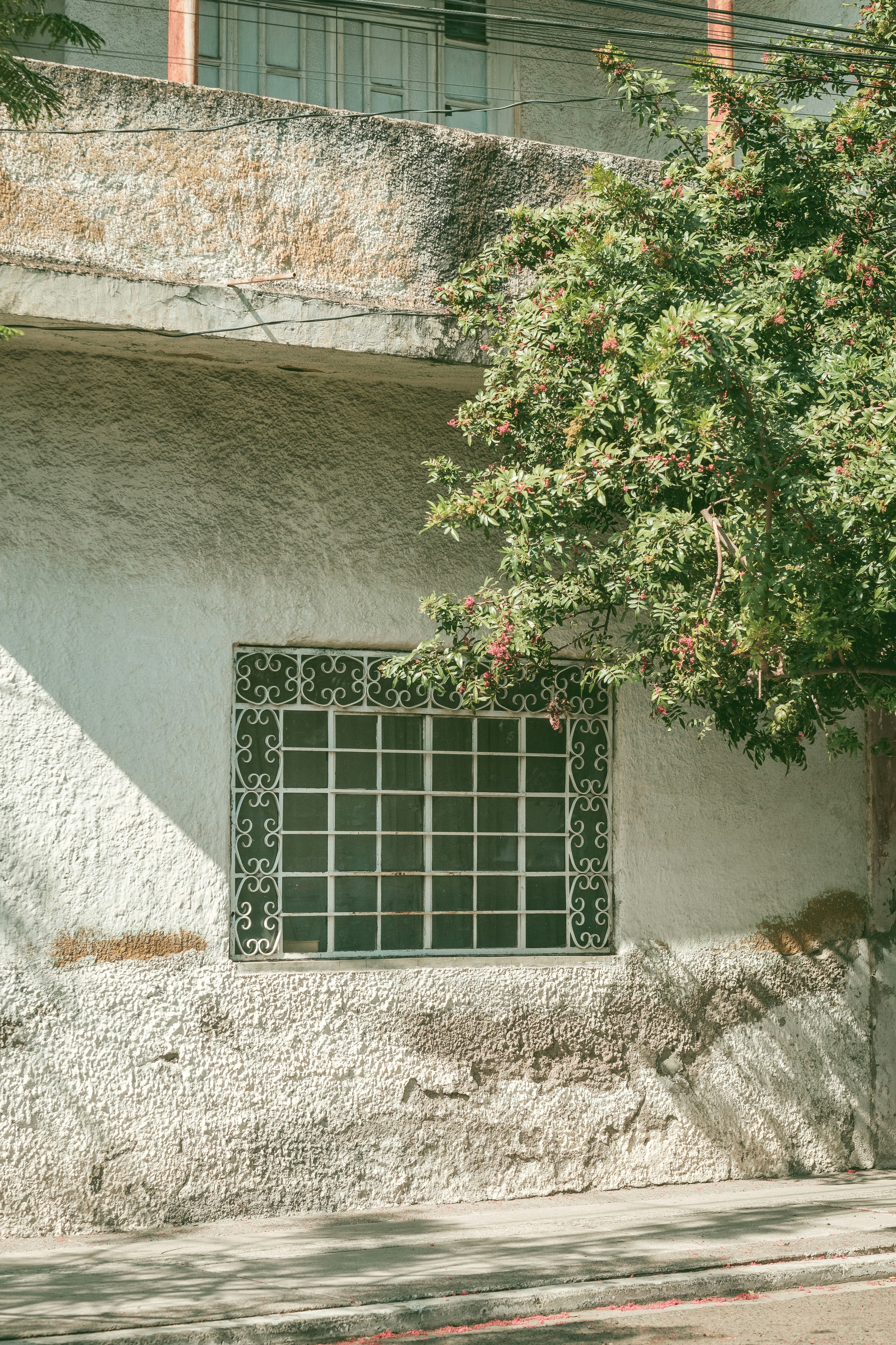 Photo by alex_quezada