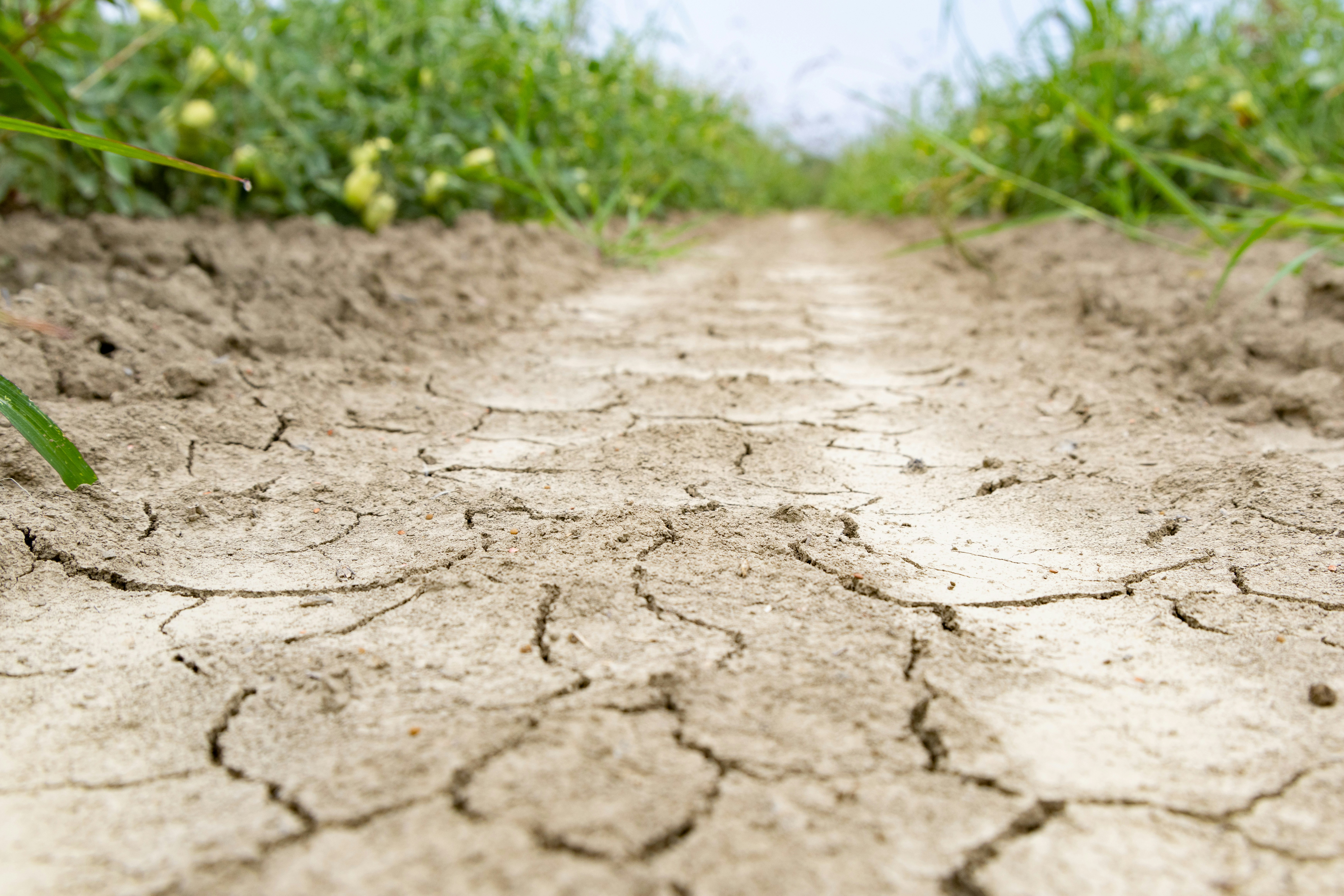 Photo by beingorganicineu