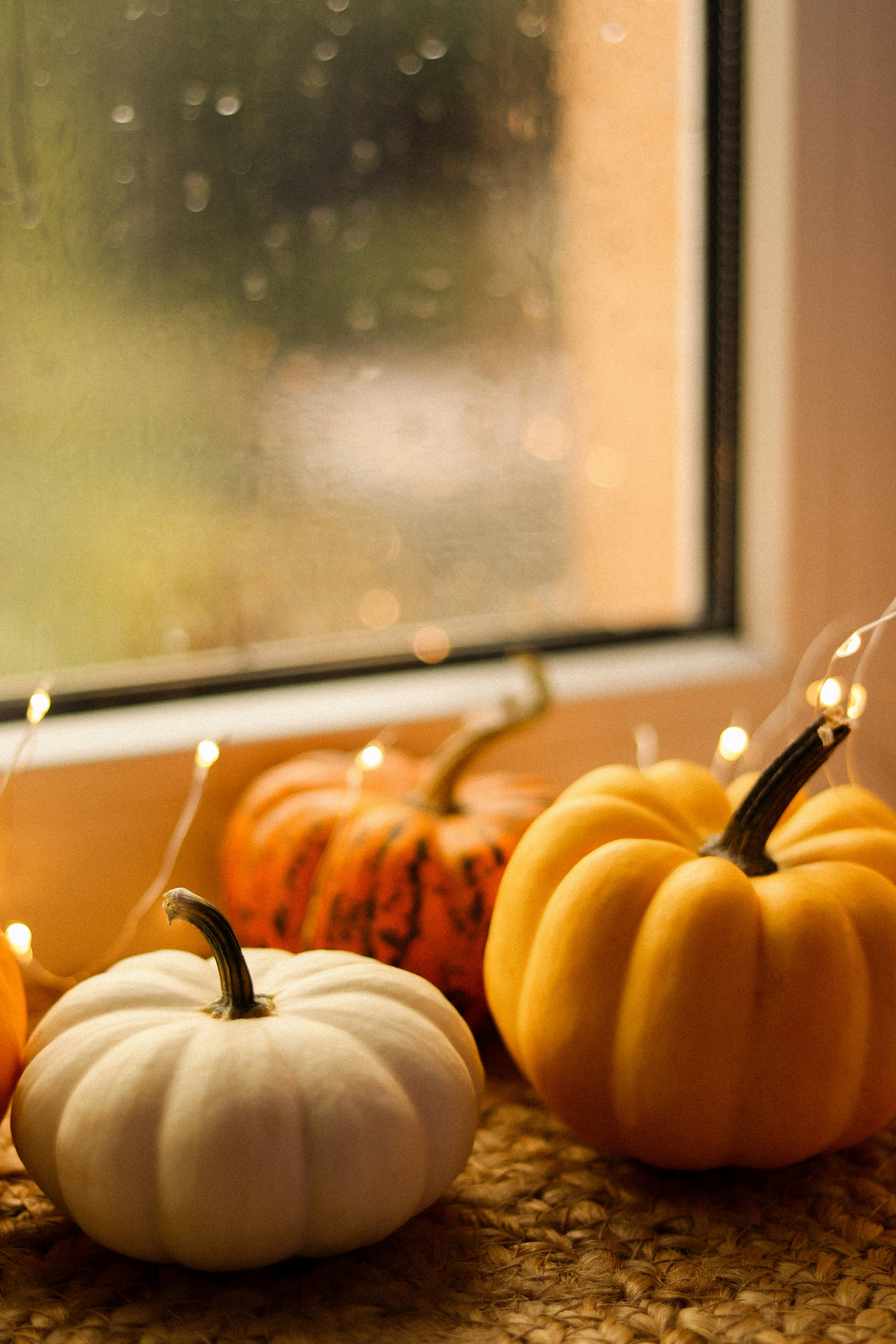 Un grupo de calabazas sentadas encima de un mostrador