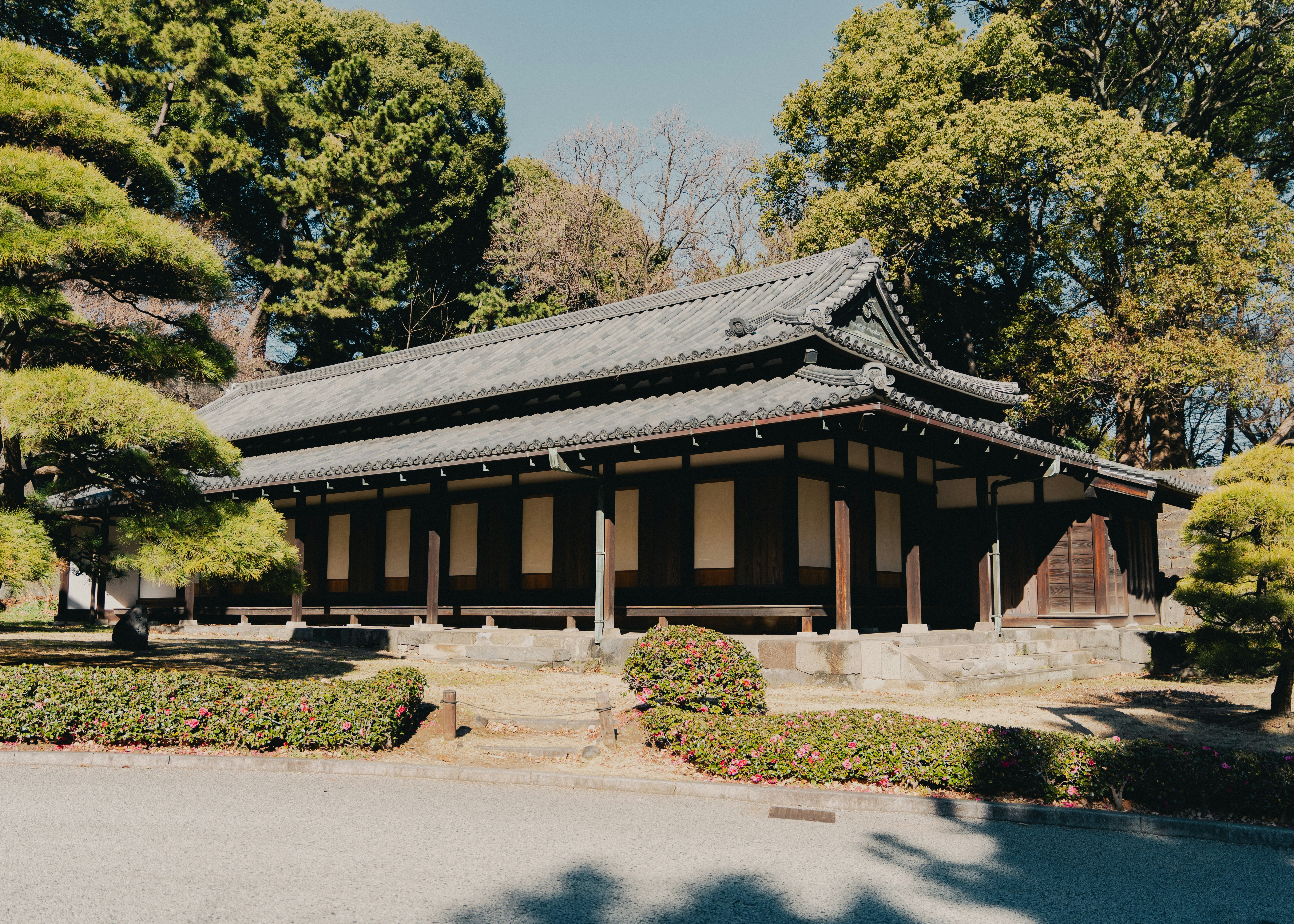 Photo by johannessejer