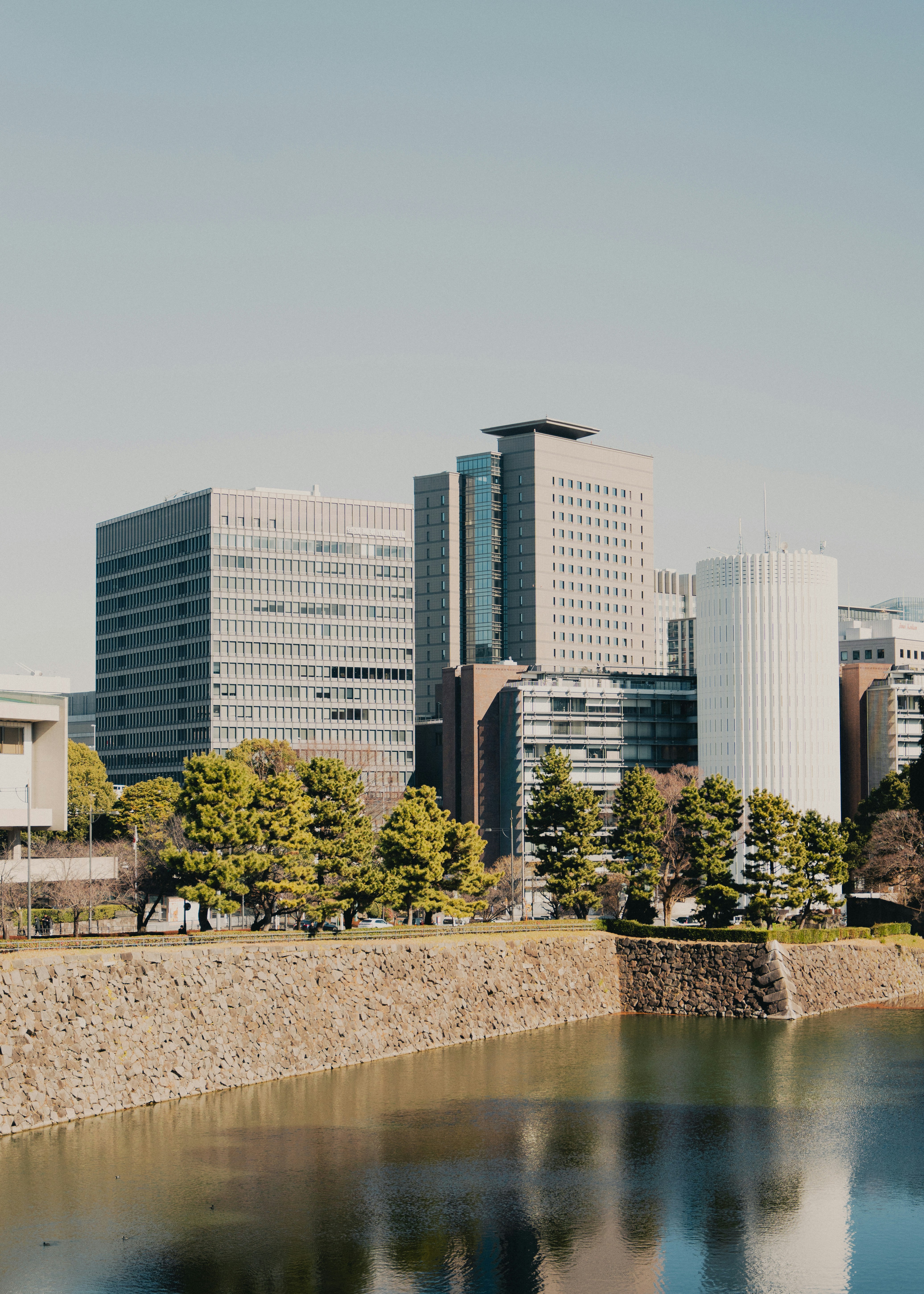 Photo by johannessejer