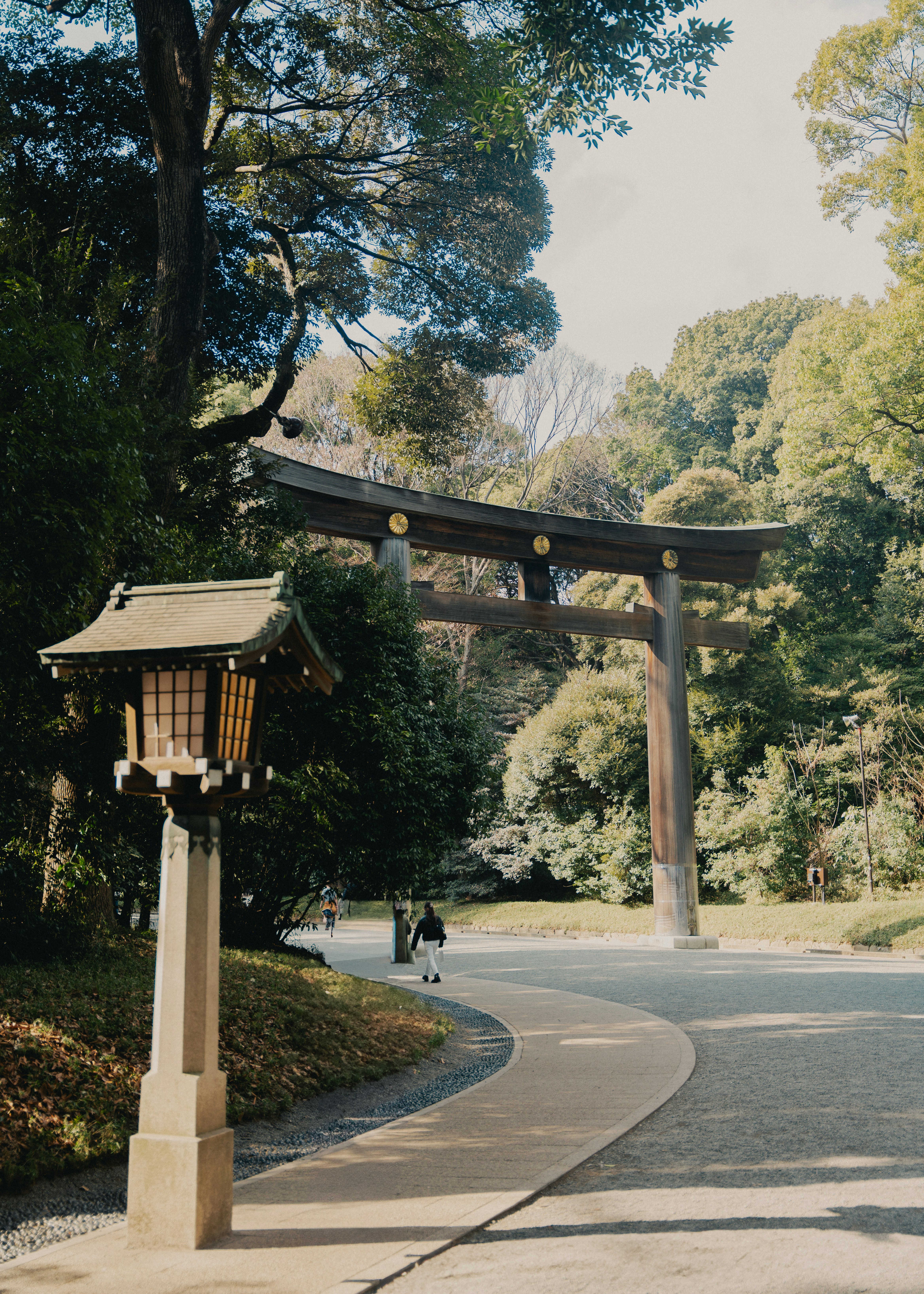 Photo by johannessejer