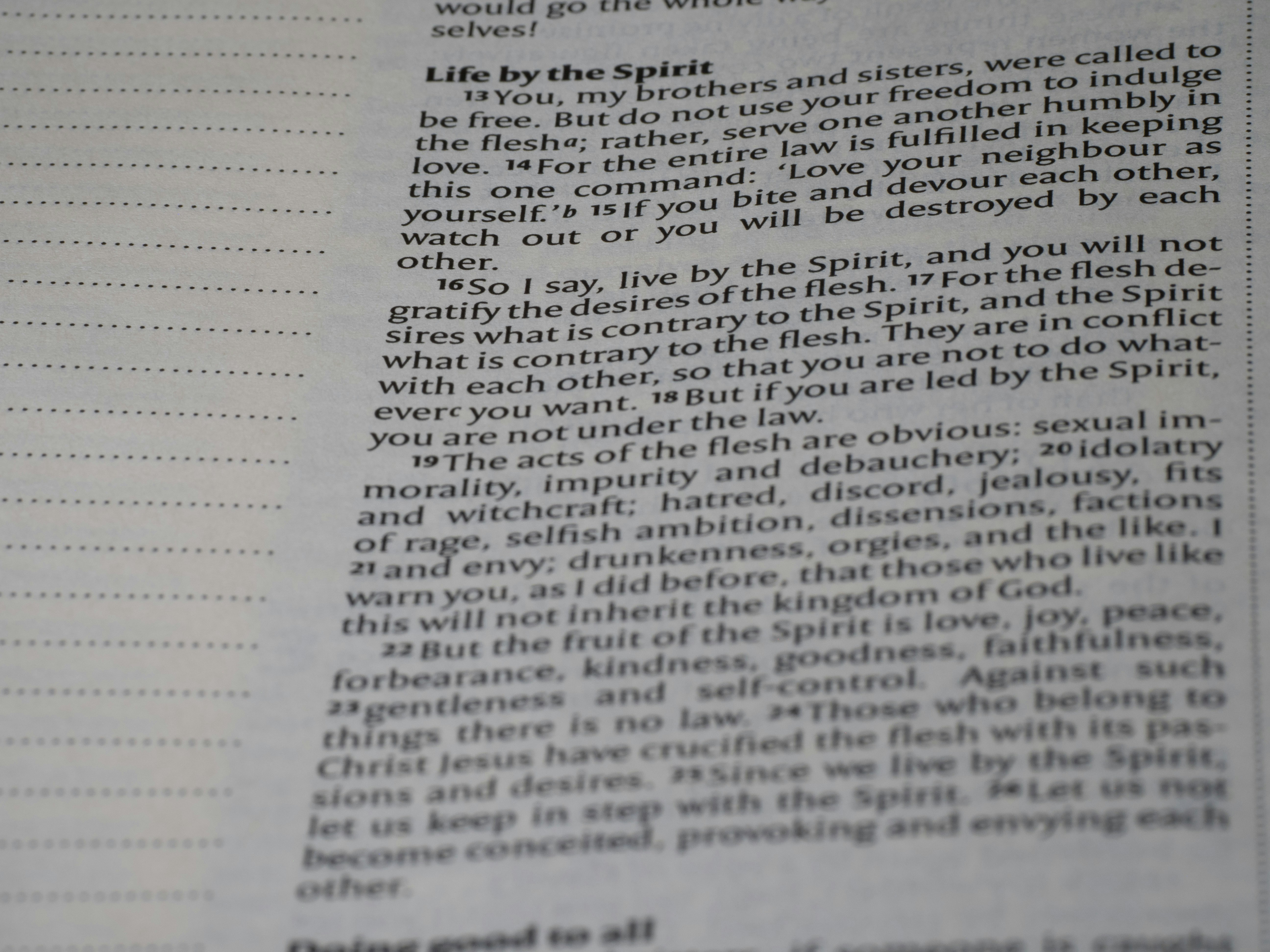 감마리놀렌산 복용법