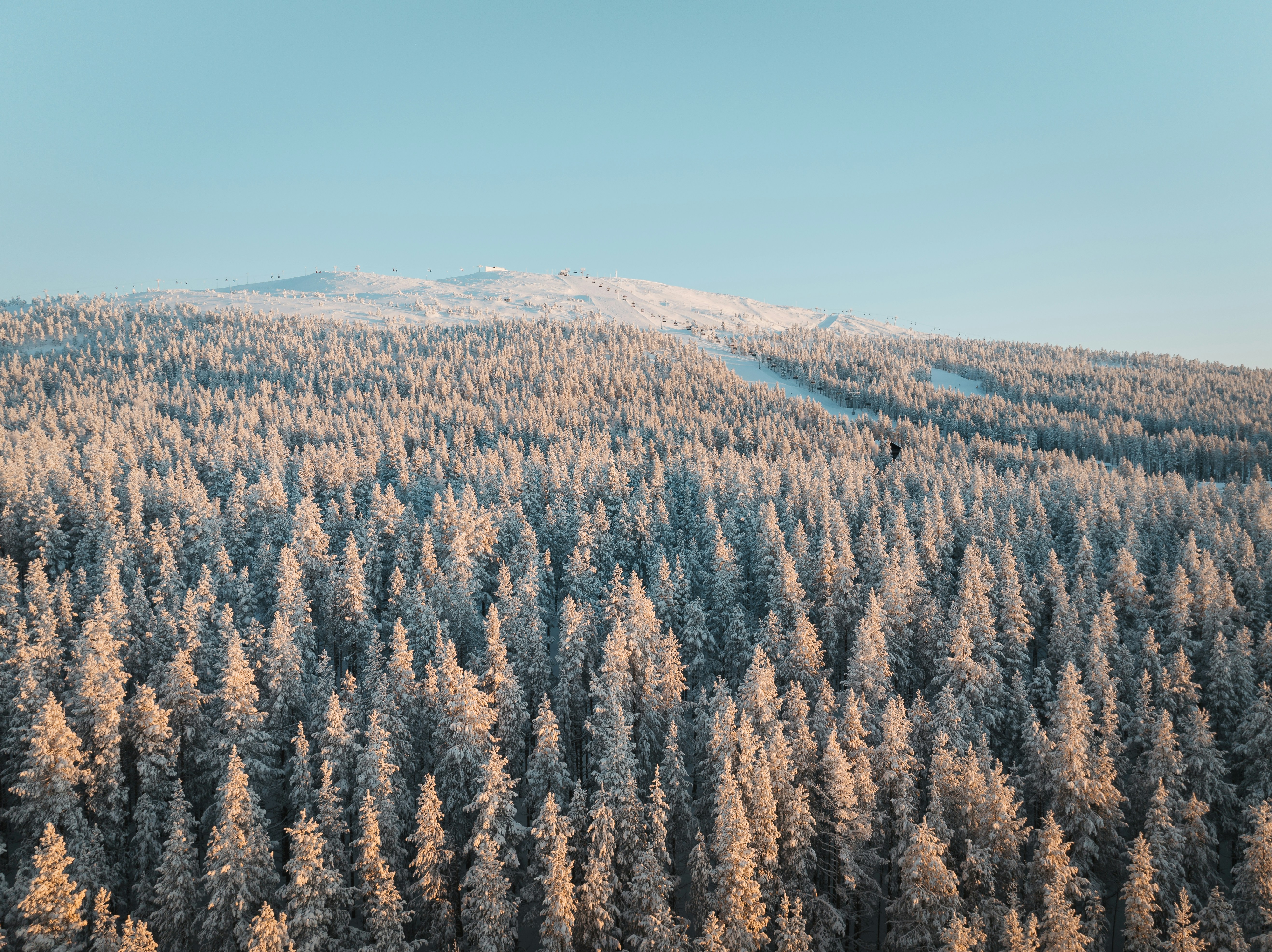 Photo by janoschphotos