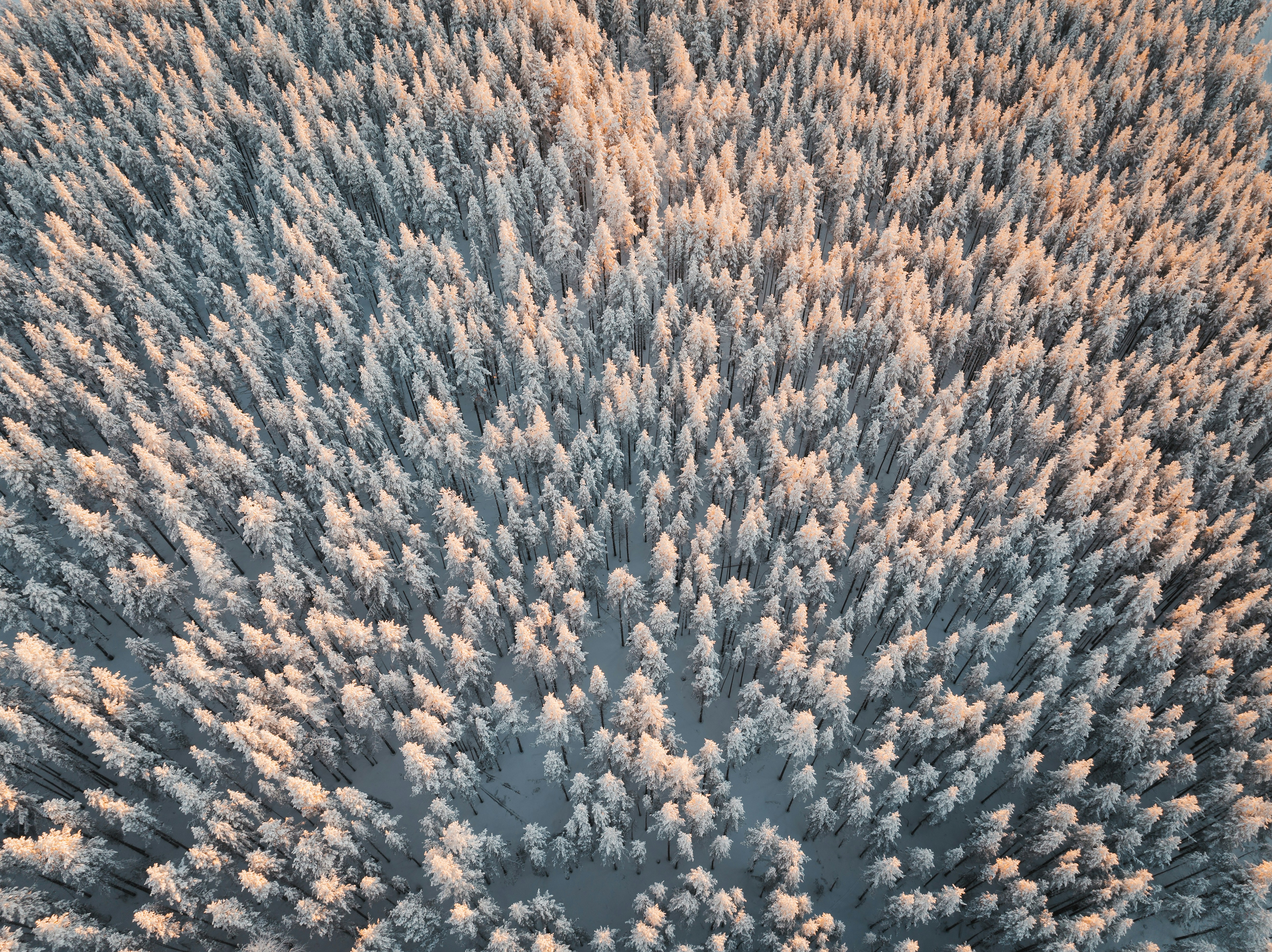 컴퓨터가 느린 이유는 무엇일까요?