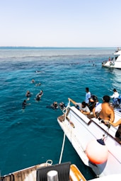 A group of people swimming in the ocean
