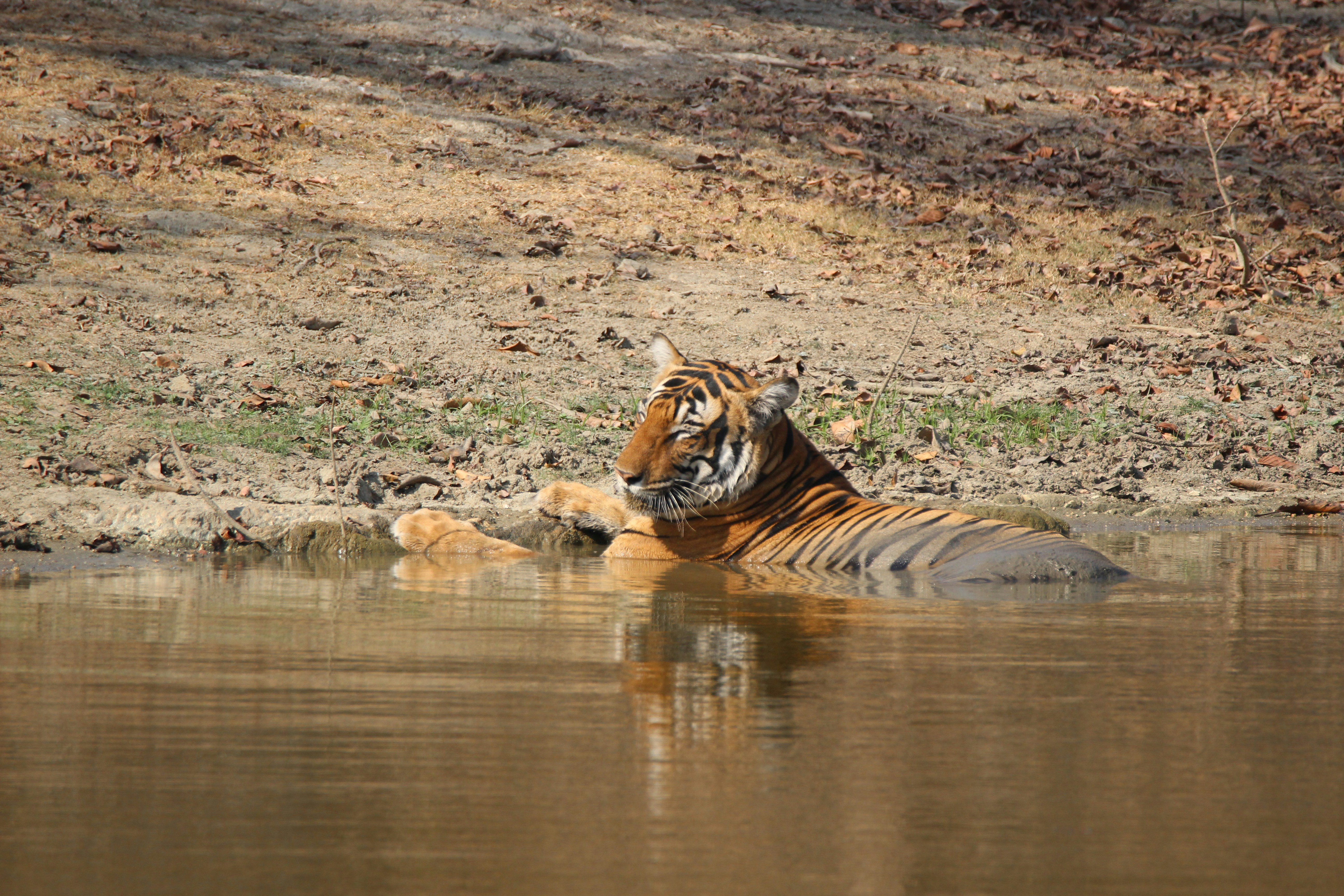 Myth Meets Reality (image credits: unsplash)