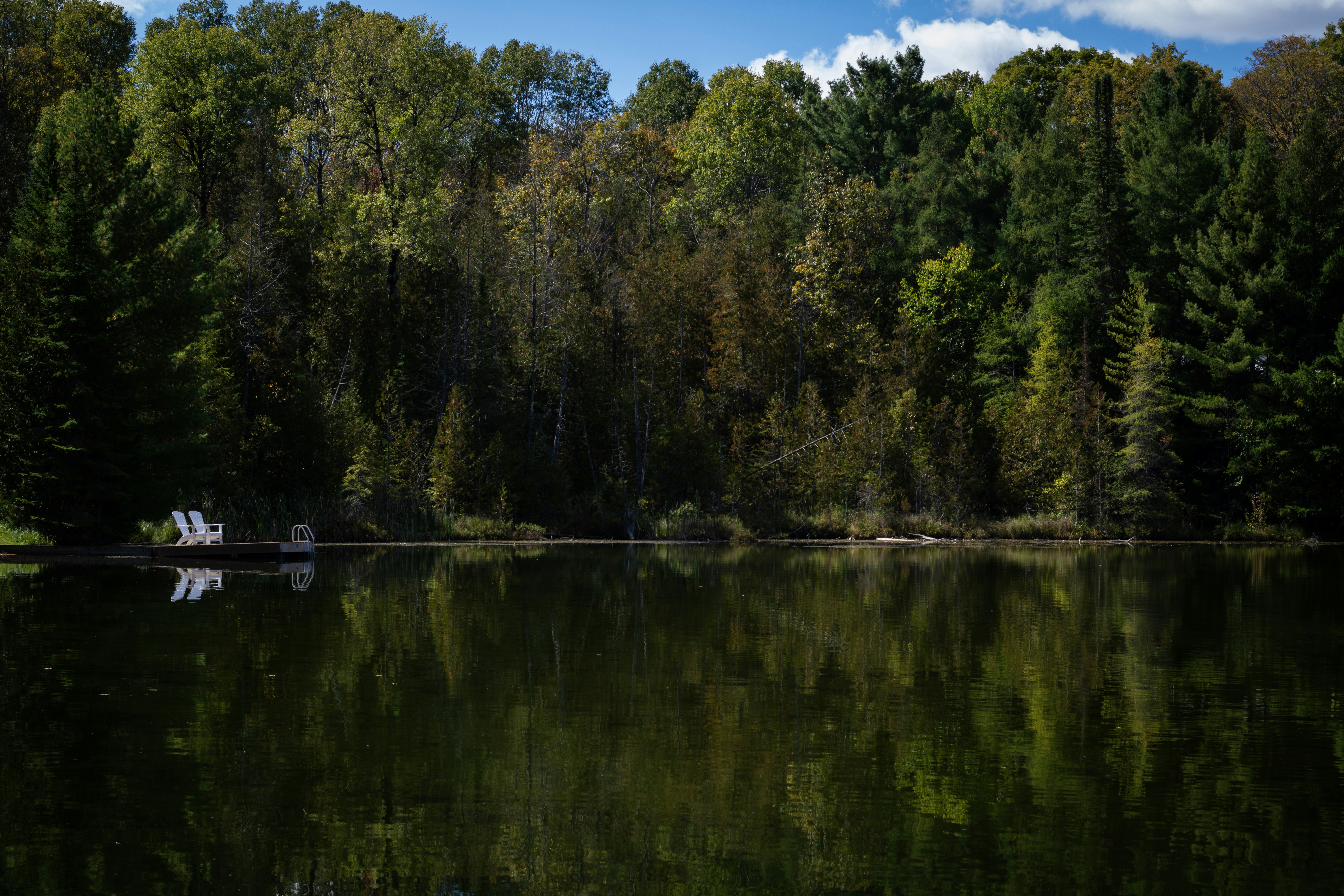 A body of water surrounded by a forest