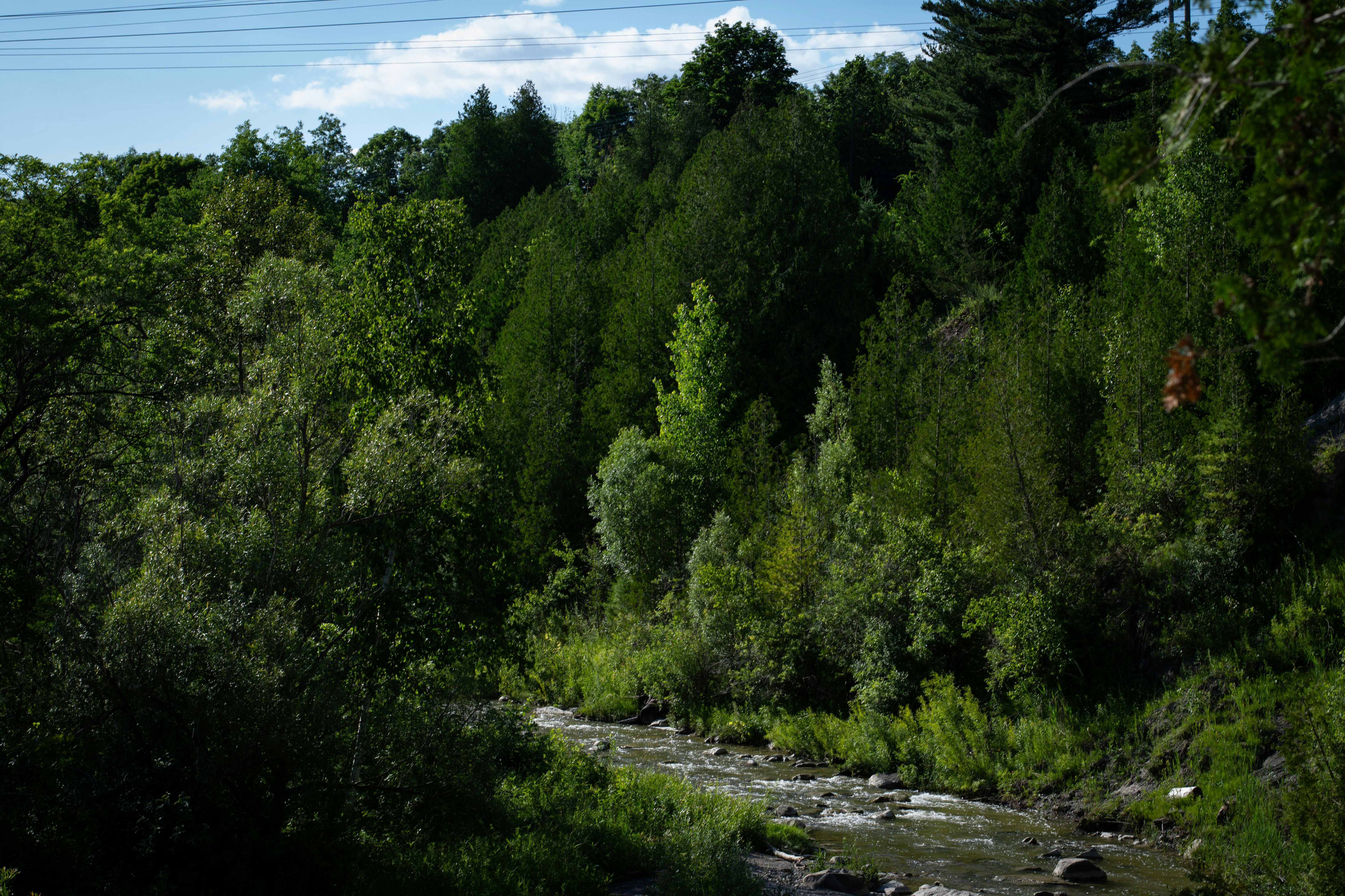 Photo by mariammagsi