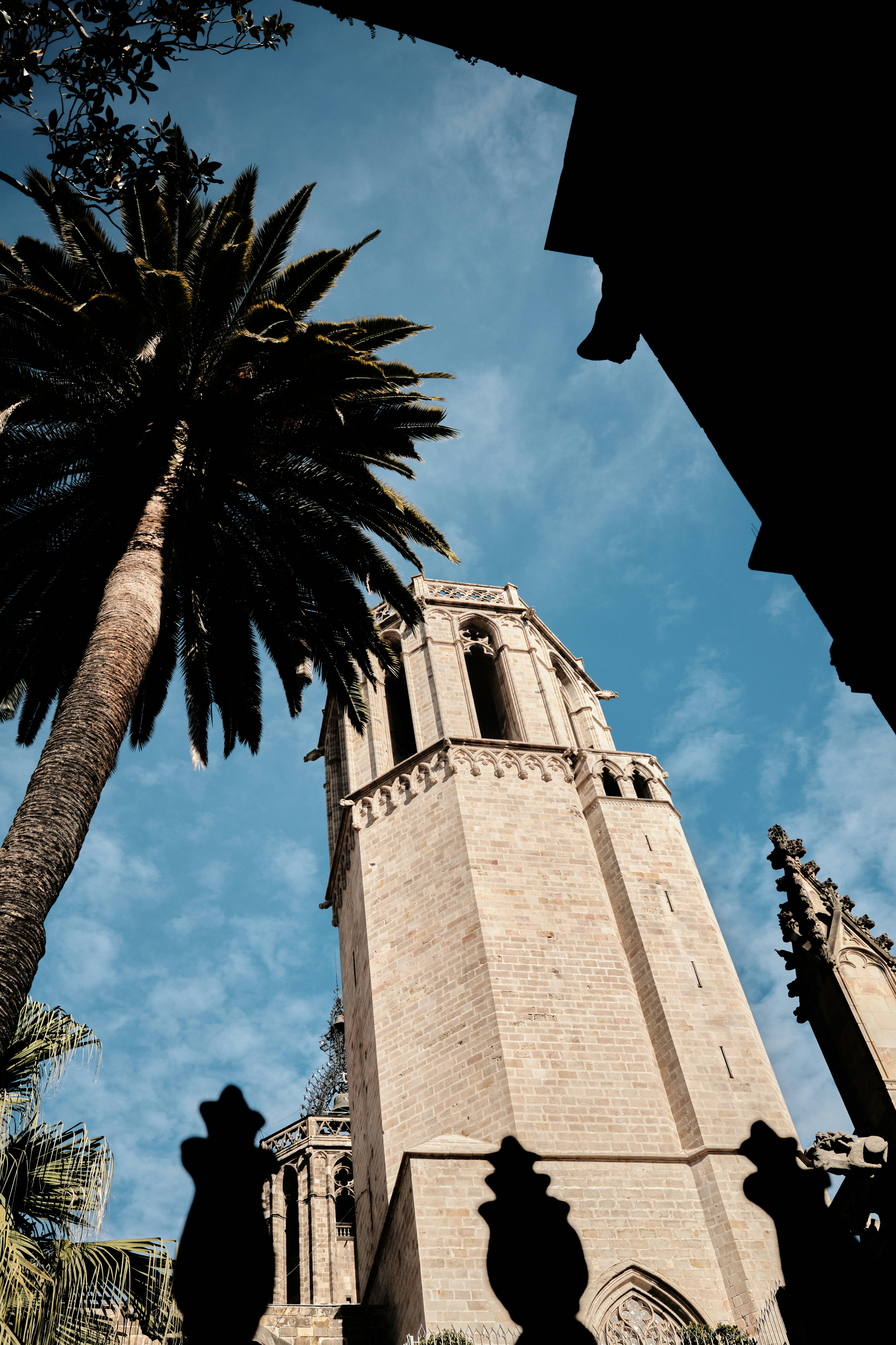 Photo by thejanarchive