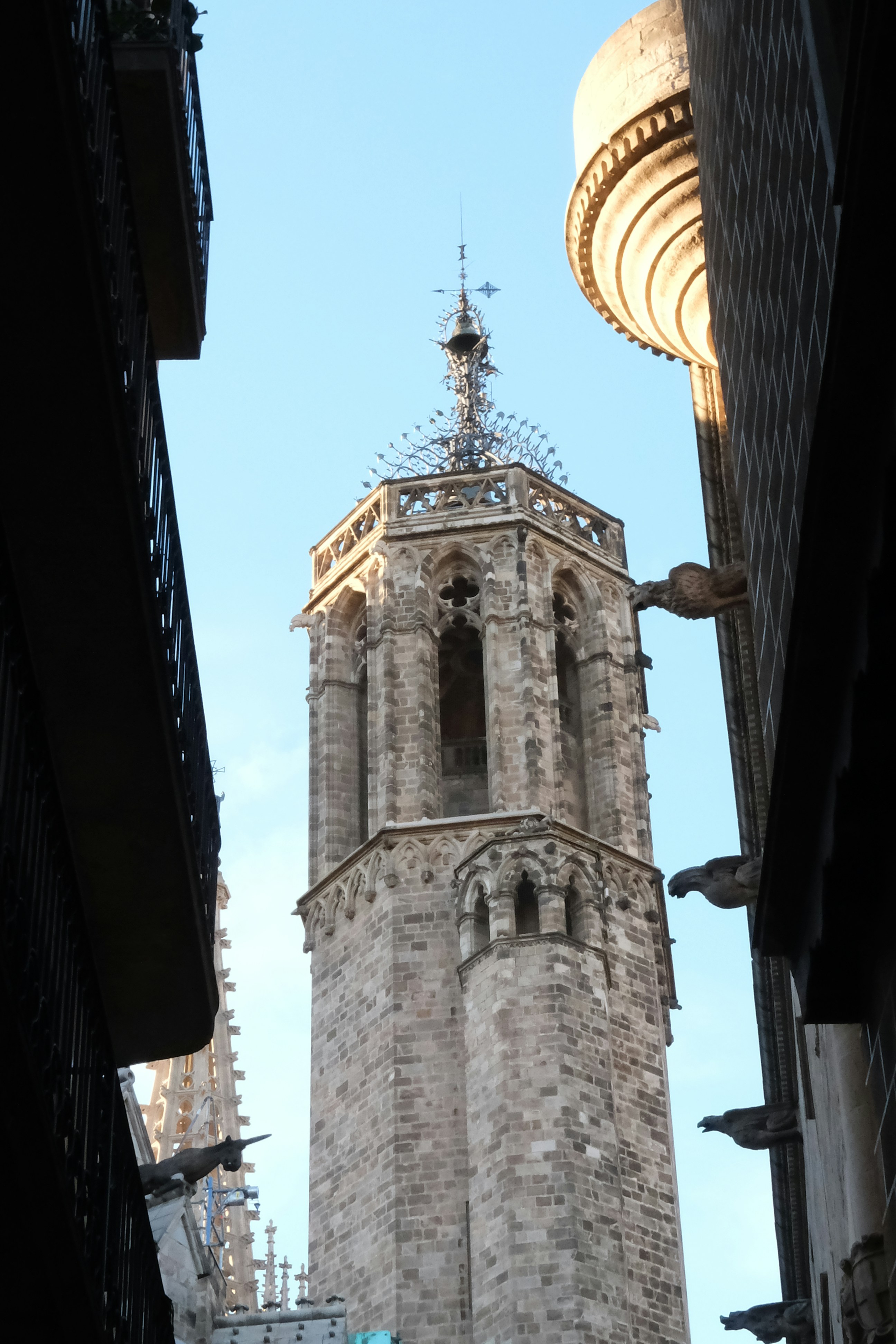 Photo by thejanarchive